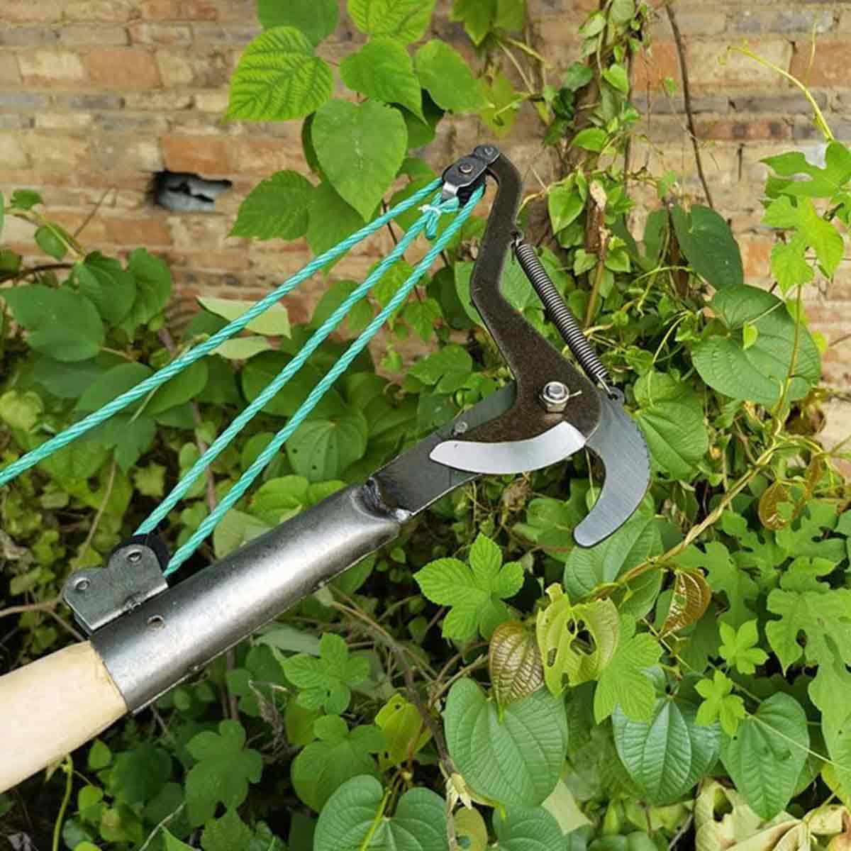 FANMITRK Sécateur long manche avec corde et poulie, lame affûtée pour tailler branches hautes et récolter fruits - 2