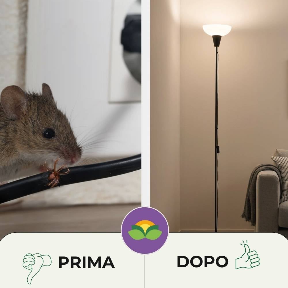 Disabituante Topi Ratti Spray Gas Albagarden - Repellente per Topi Effetto Immediato, Dissuasore per Ratti - per Interno ed Esterno - Spray x 600 ml - 5