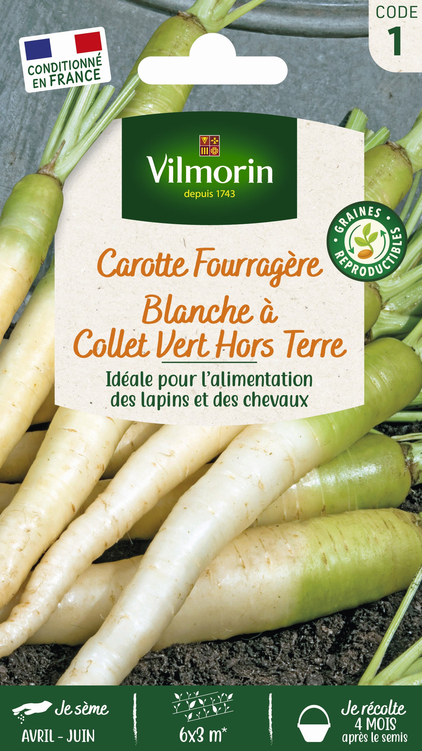 Carotte Fourragère Blanche à Collet Vert Hors Terre | Leroy Merlin