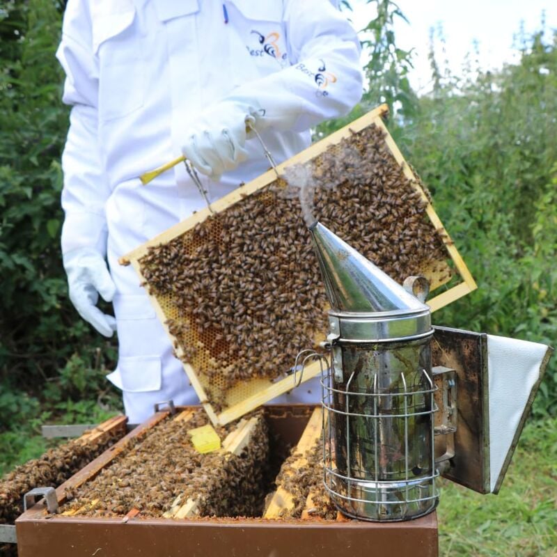 Combinaison Apiculteur en Tissu Épais et Coton de haute qualité, Fermeture Éclair robuste, Gants en Cuir, Capuche Amovible XL - 5