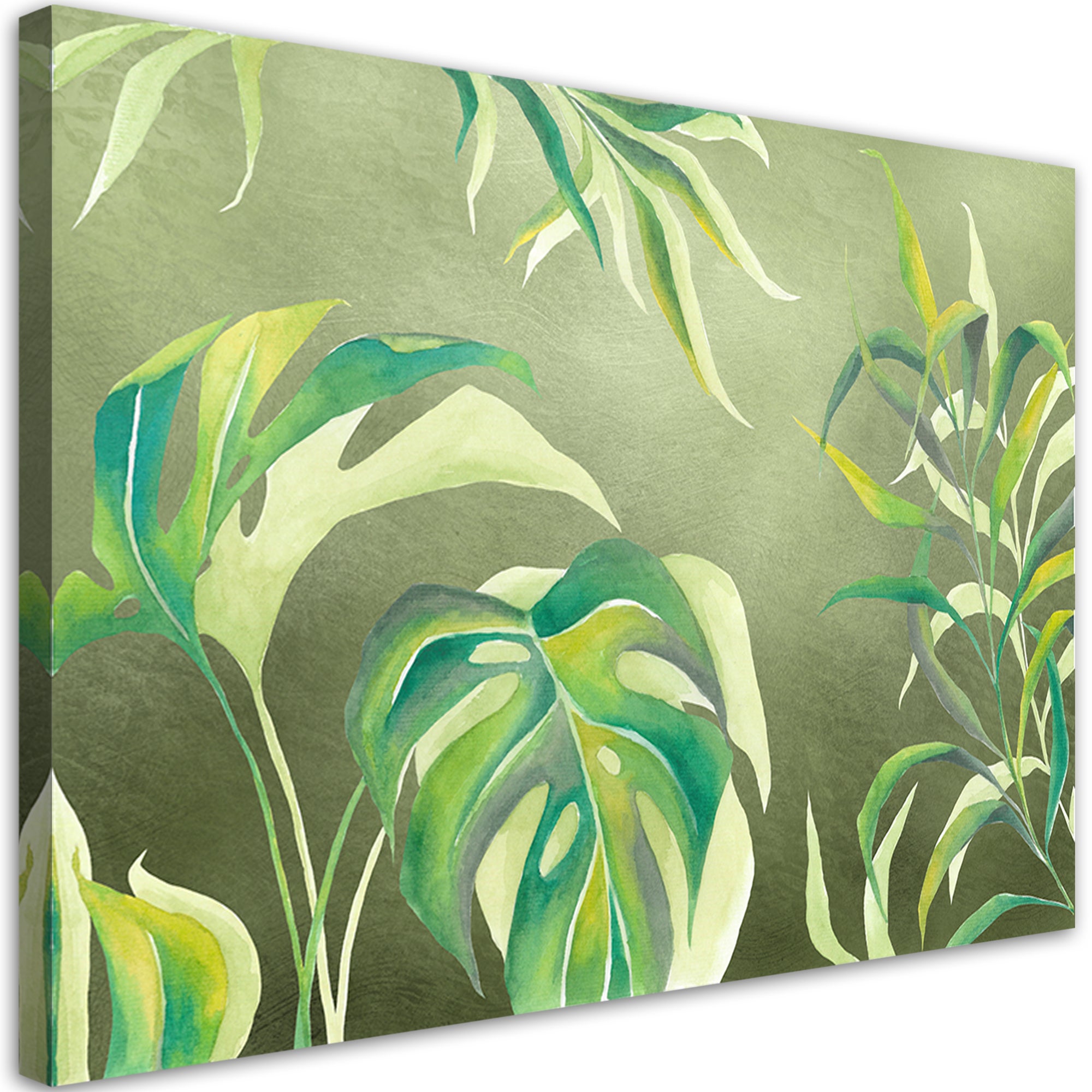 Obraz na płótnie, Liście Monstera 60x40