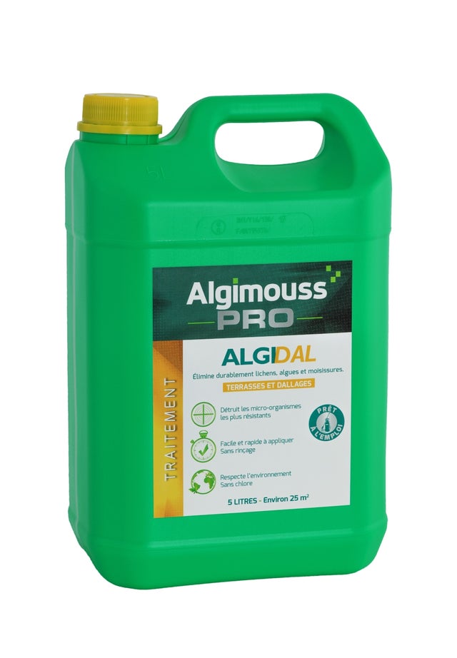 Algidal Traitement curatif et préventif terrasse et dallage 5L - 003003