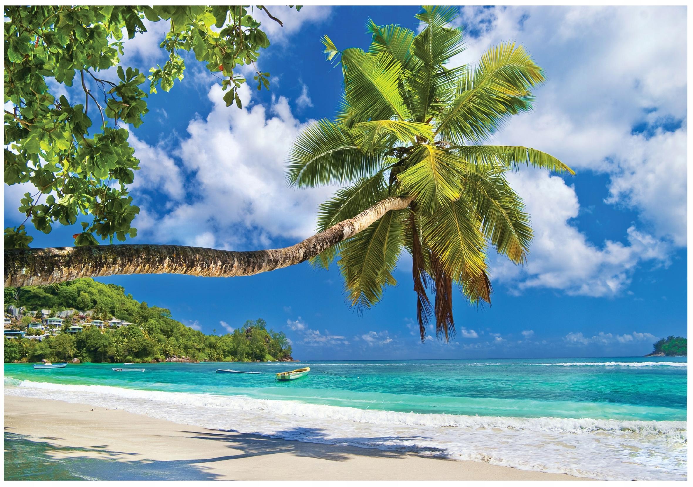 Fototapeta Plaża Palmy Ocean 400x280 cm Tapeta Do Sypialni Salonu Kuchni Na Flizelinie