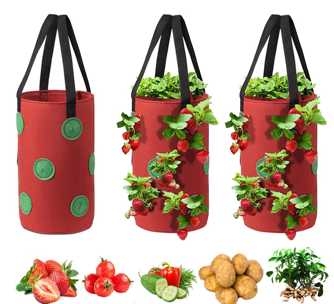 Cages à Tomates 37x37x100 Cm Support Pour Plantes De Jardin