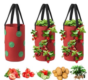 Wisebom Borse da Coltivazione Piante da Appendere, 6Tasche Borsa Fioriera Parete Giardino Verticale Traspirante, Sacchetti per Piante in Feltro per Fiori Fragole Decorazione (Verde