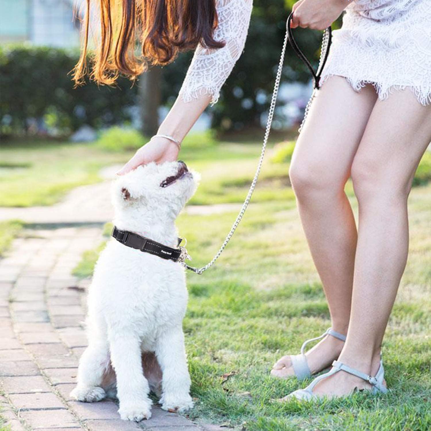 Guia de corrente resistente para cães grandes e médios - 1,8 m, 2 mm de espessura - Alça acolchoada confortável - 8