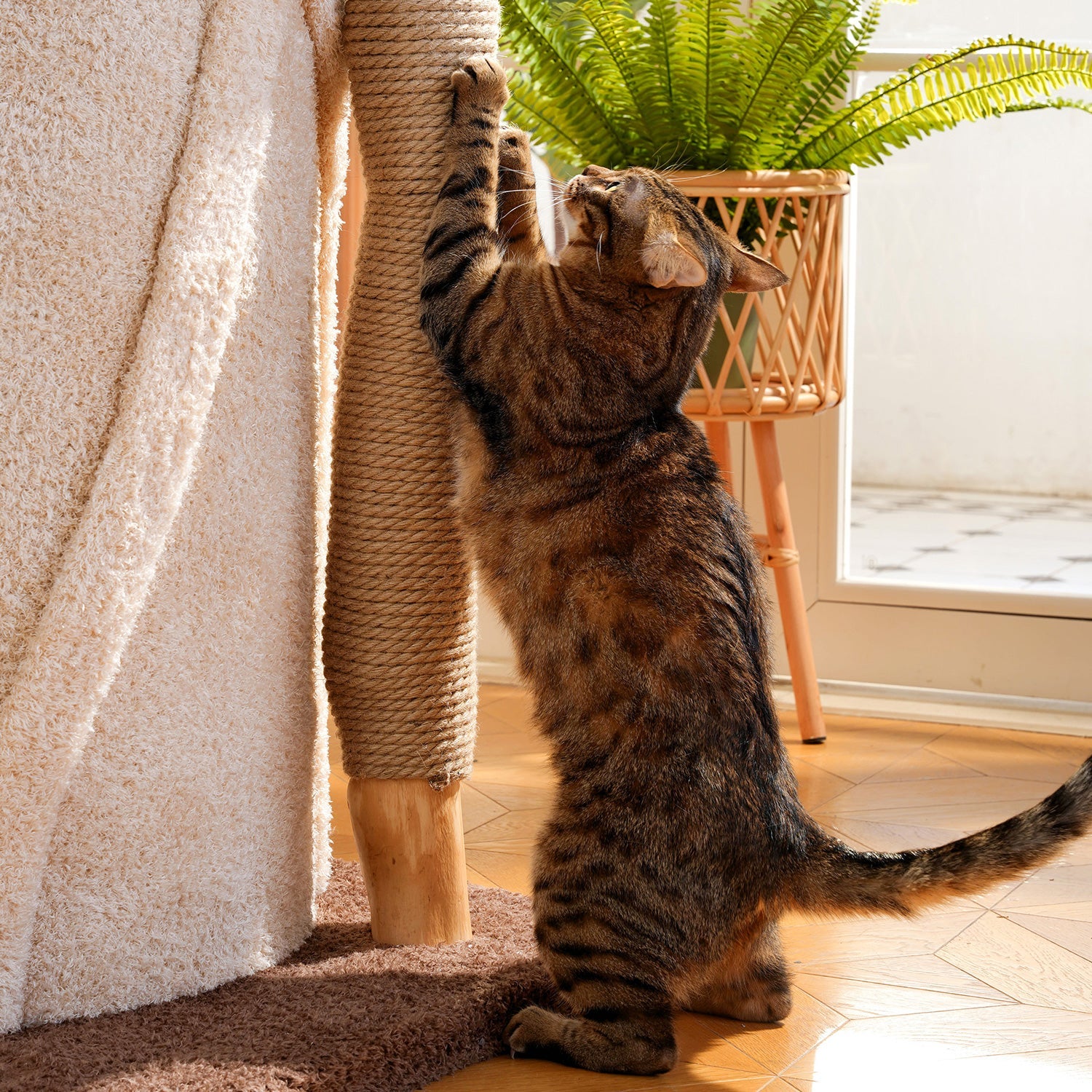 Arbre à chat de luxe en bois massif de 175 cm avec matelas réversible, idéal pour toutes les saisons et tous les chats. - 3