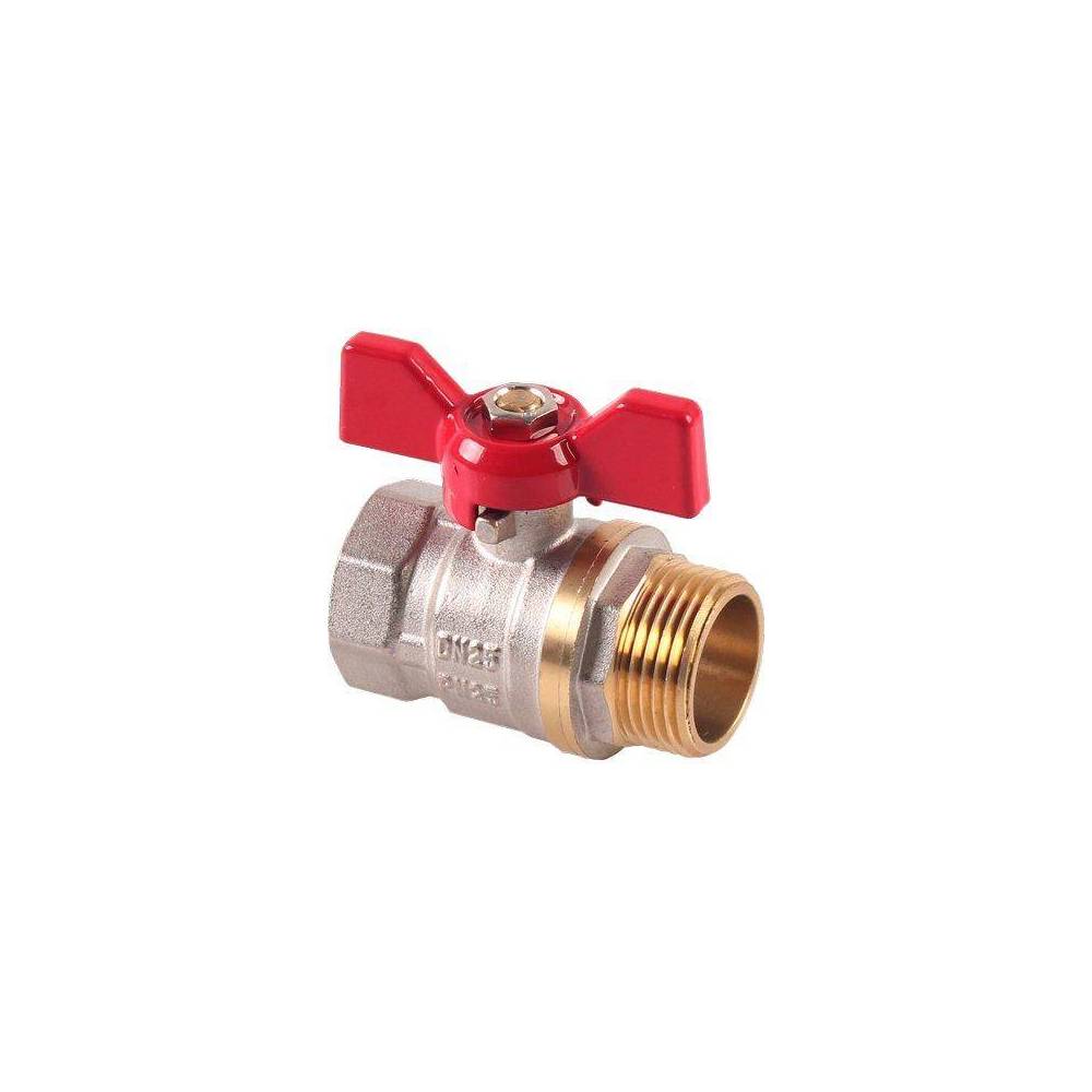 Vanne à Sphère 2 Pièces Inox - Taraudé BSP - Poignée Plate Rouge