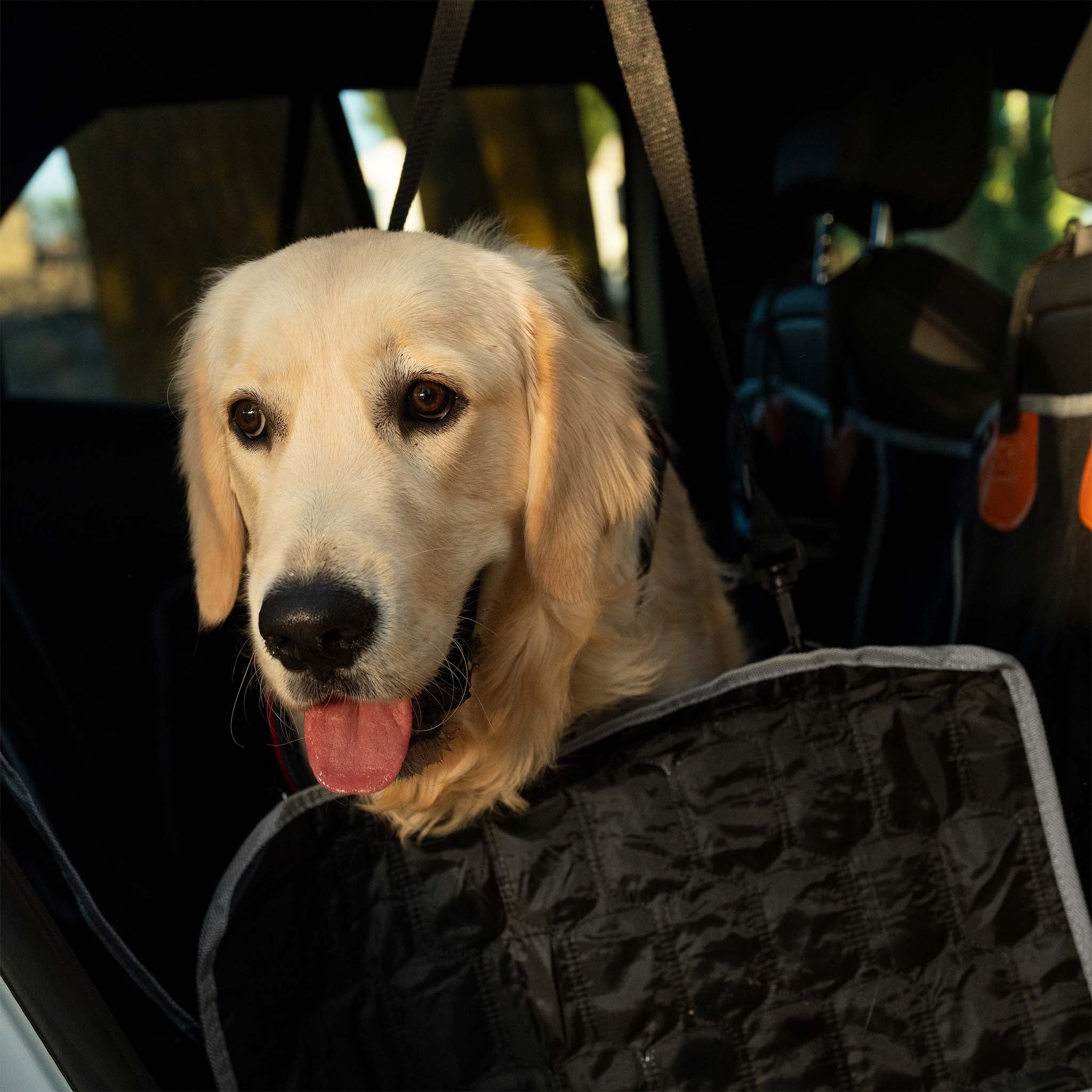 Couverture siège arrière pour chiens - 1320 x 570 x 350 mm / Oxford 600D - Housse séparable banquette arrière Voitures - Transport canin… Fudajo - 8