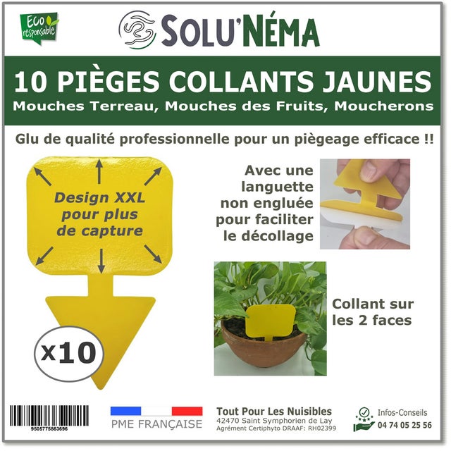 SoluNéma - 10 Pièges Collants Jaunes XXL pour Mouches du Terreau, Mouches des Fruits, Moucherons