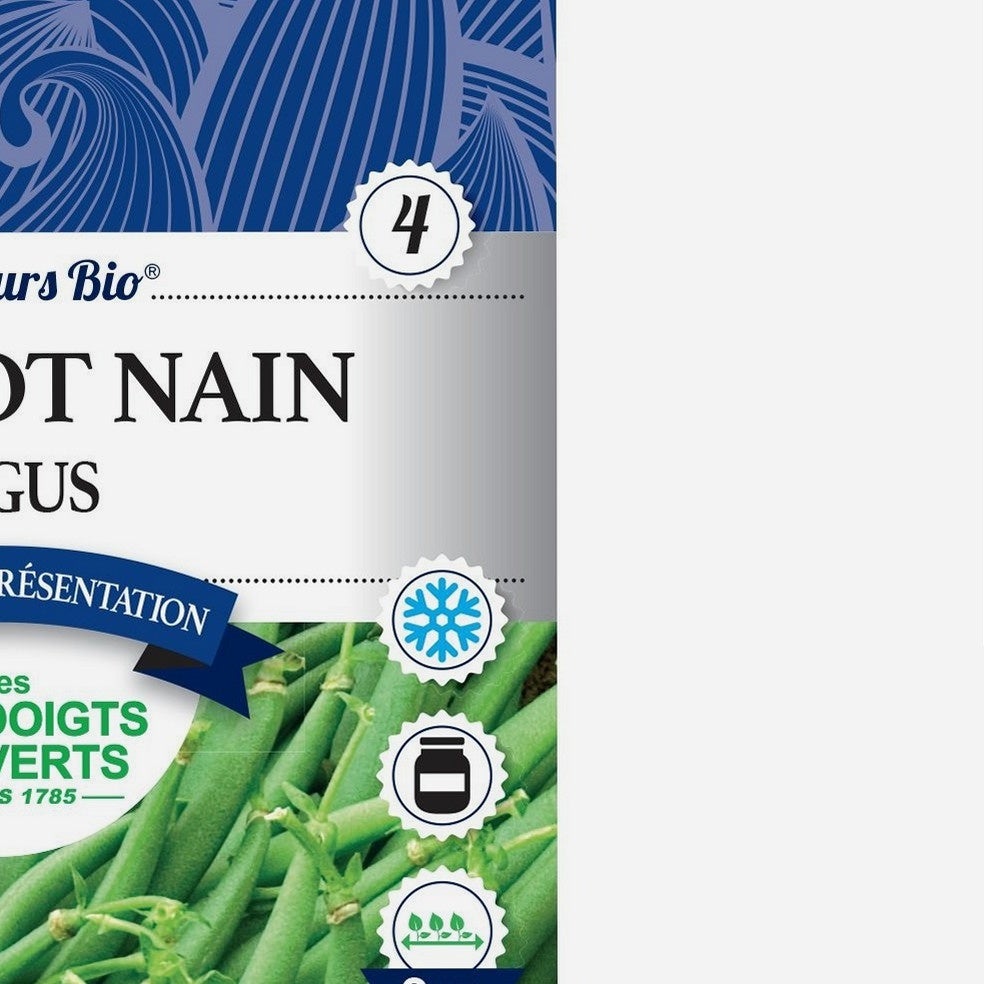 Graines haricot nain argus BIO Les Doigts Verts 100g - 3