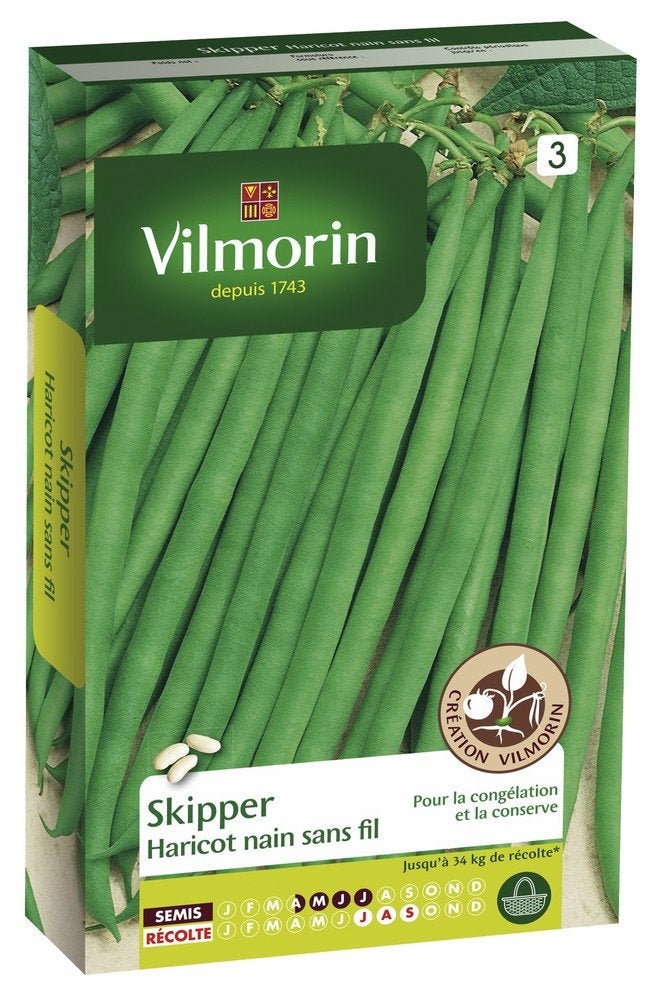 Skipper (Création Vilmorin) recommandé pour congélation - 2