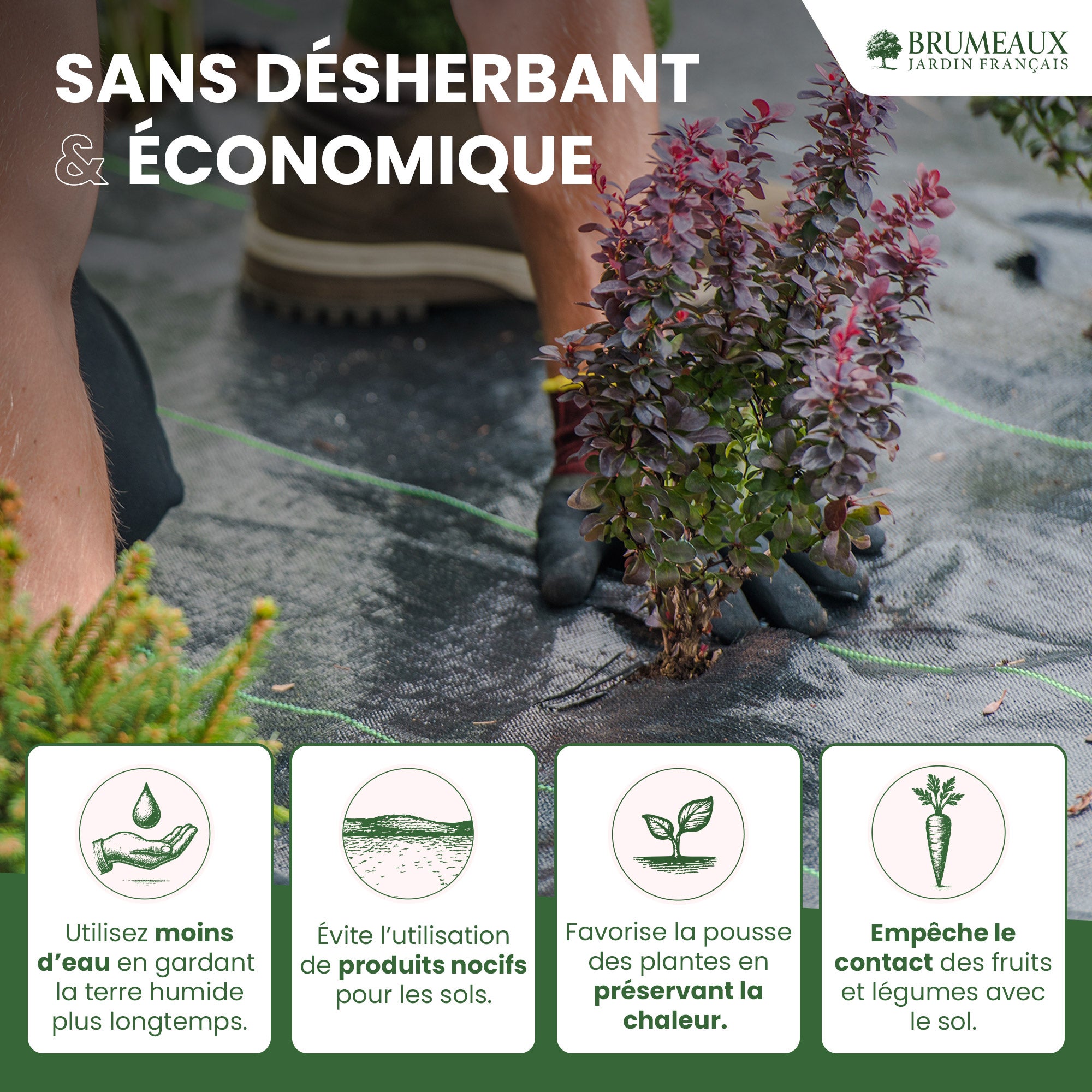 Toile de Paillage 1x50M 100g/m² - 5