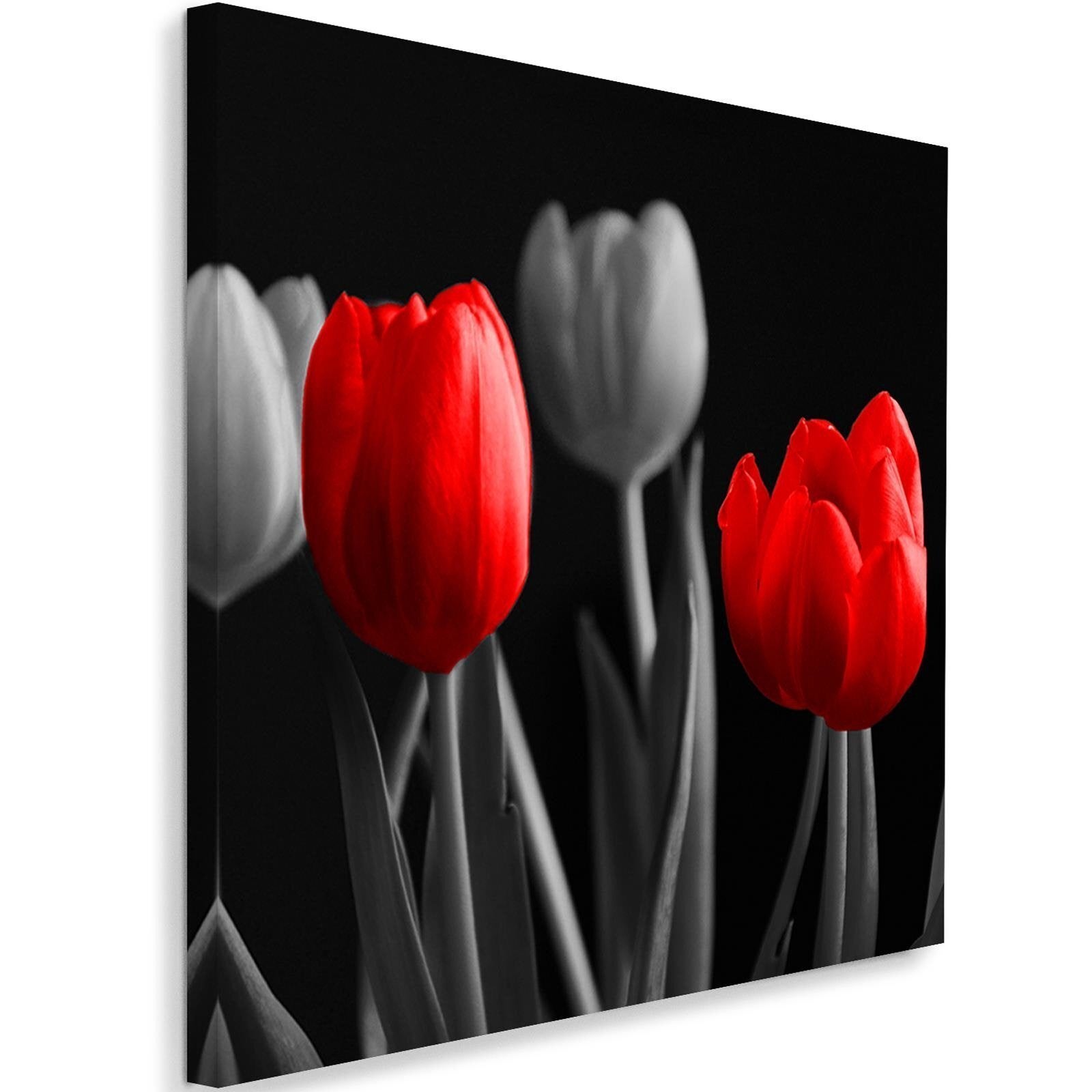 Obraz na płótnie, Czerwone tulipany 40x40