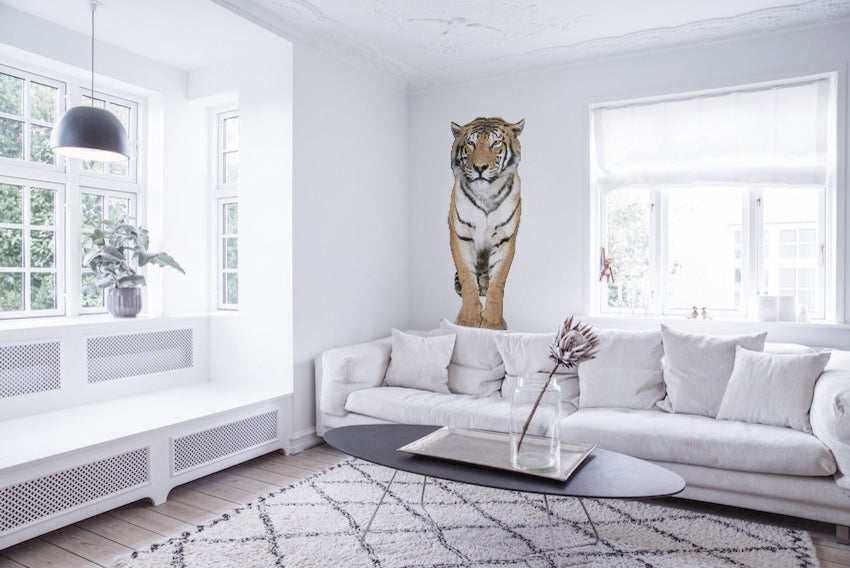 Pegatina decorativa, foto hermosa tigre real, amigo animal, 60 cm x 170 cm