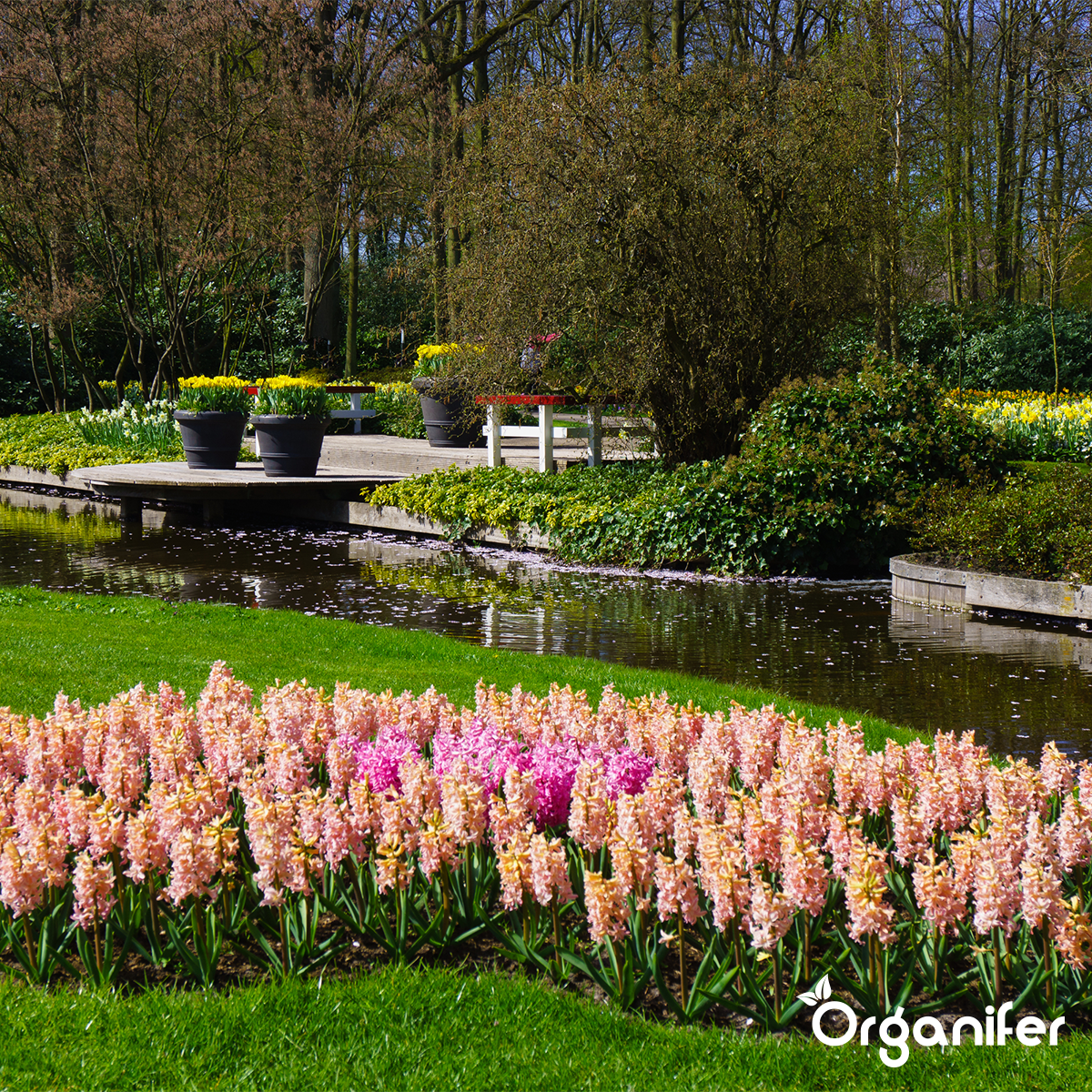 Compost De Vers - Vermicompost - Grand Sac De 1500 Litres Pour 1500M2 - Organifer - 7
