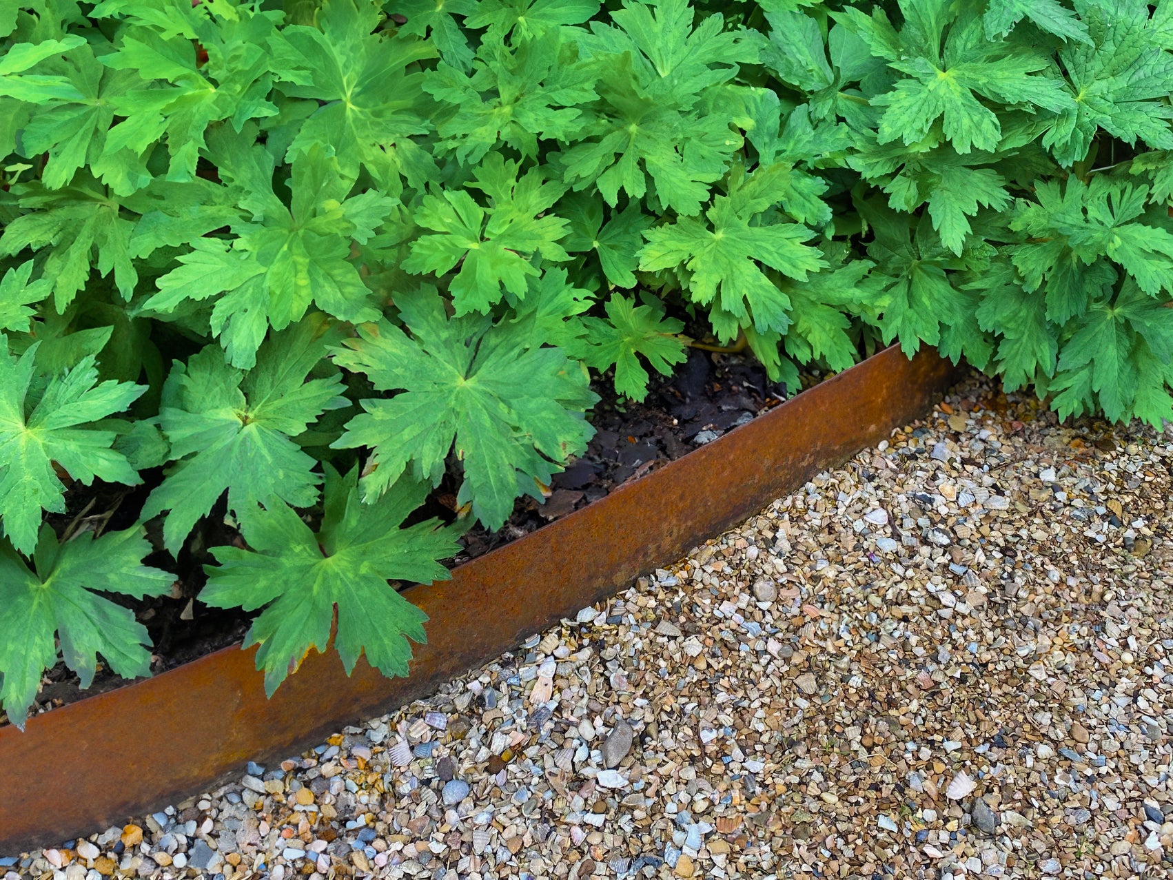 Wovar Bordure de jardin en acier Corten 16 x 106 cm Flexible - Par pièce - 7