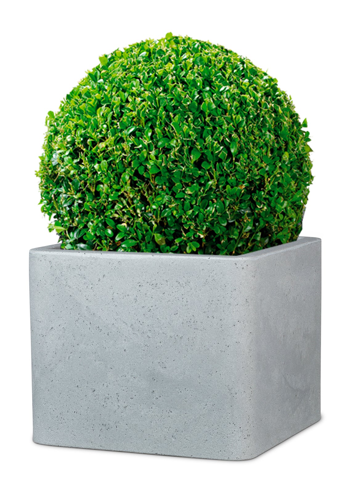 Scheurich Alea 40, bac à plantes/pot à fleurs/jardinière, carré, coloris: Stony Grey, fabriqué avec du plastique recyclé, pour l’extérieur - 4