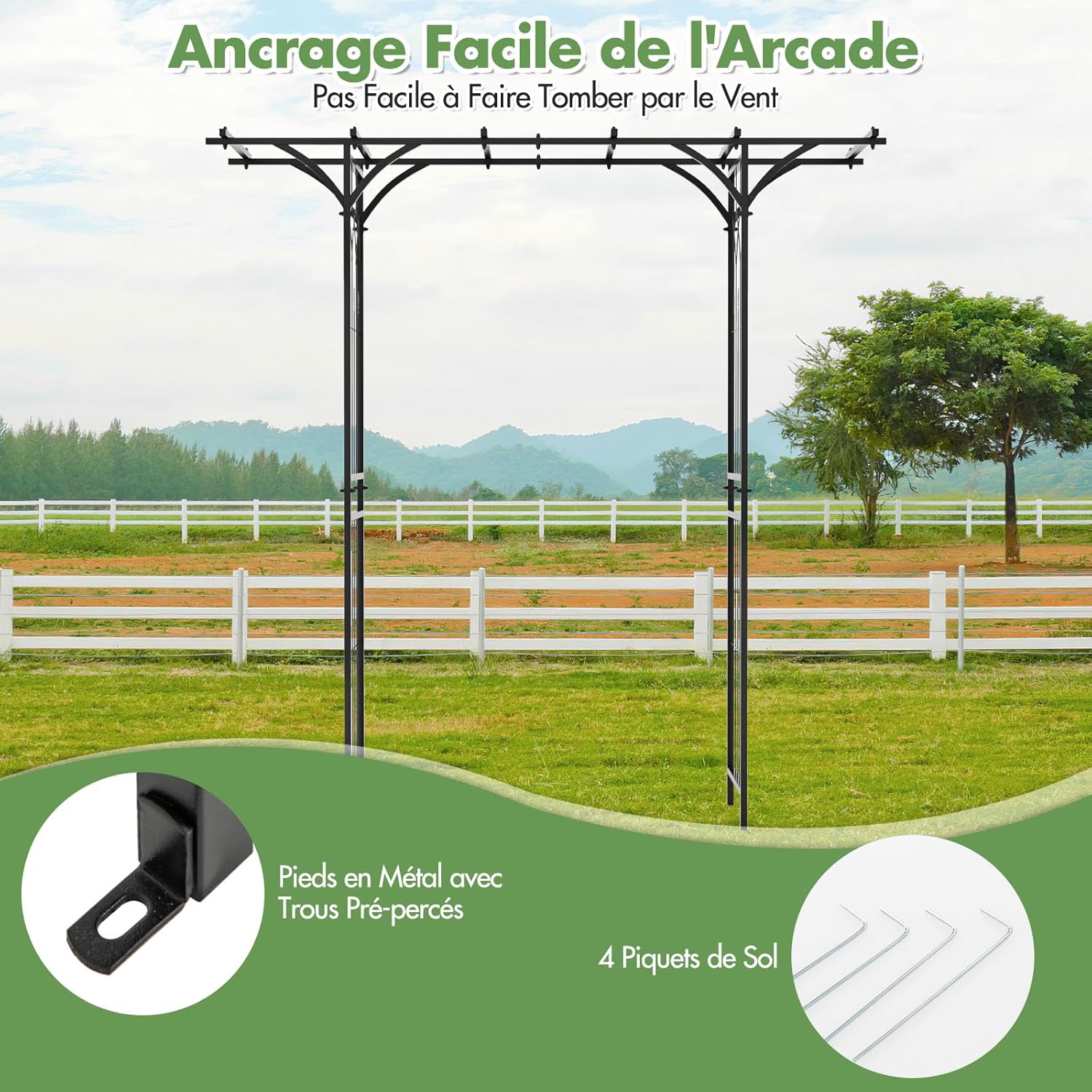 Arche de Jardin Fer 205 cm, Arche de Jardin avec Treillis pour Plantes Grimpantes, Vignes, Roses, Arche Décorative Extérieure,200 x 52 x 205 cm - 6