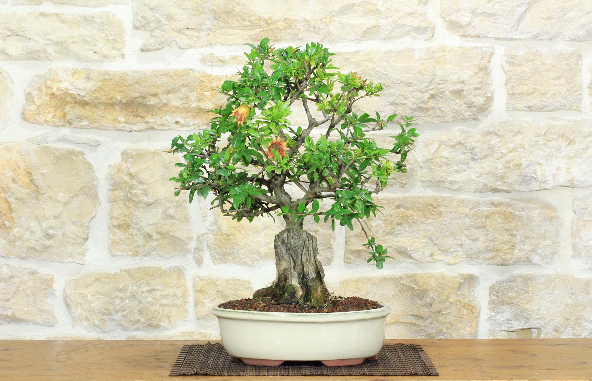 hängepflanze bambus Künstlicher Hänge-Bambus - Natalie | 75 cm
