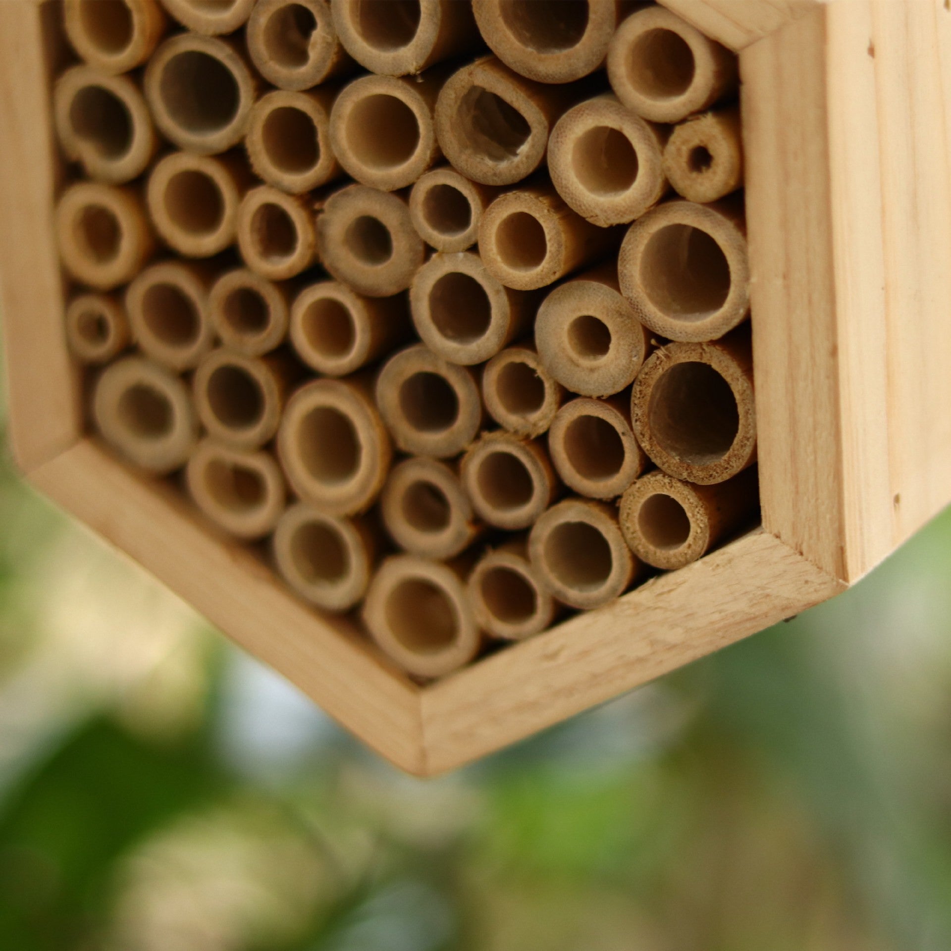 Casa para Insetos de Jardim, Hotel para Insetos e Habitat Natural para Insetos Benéficos — Ideal para Abelhas, Borboletas e Joaninhas. - 6