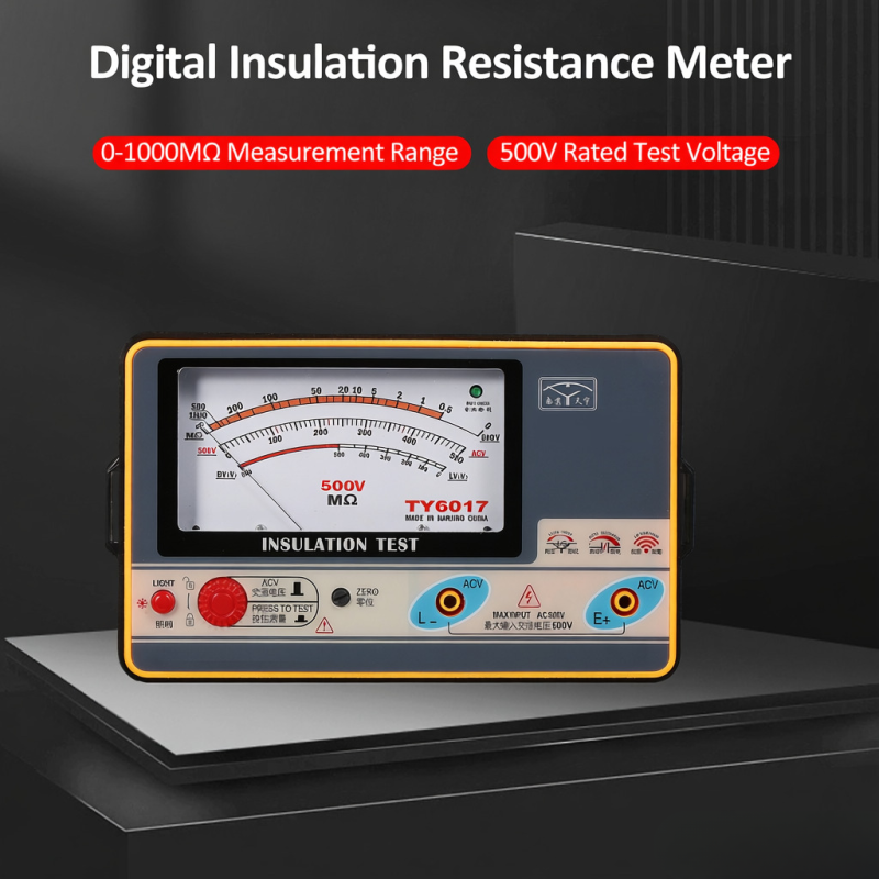 Mégohmmètre numérique portable de haute précision (0-1000 MΩ, 500 V) - 5