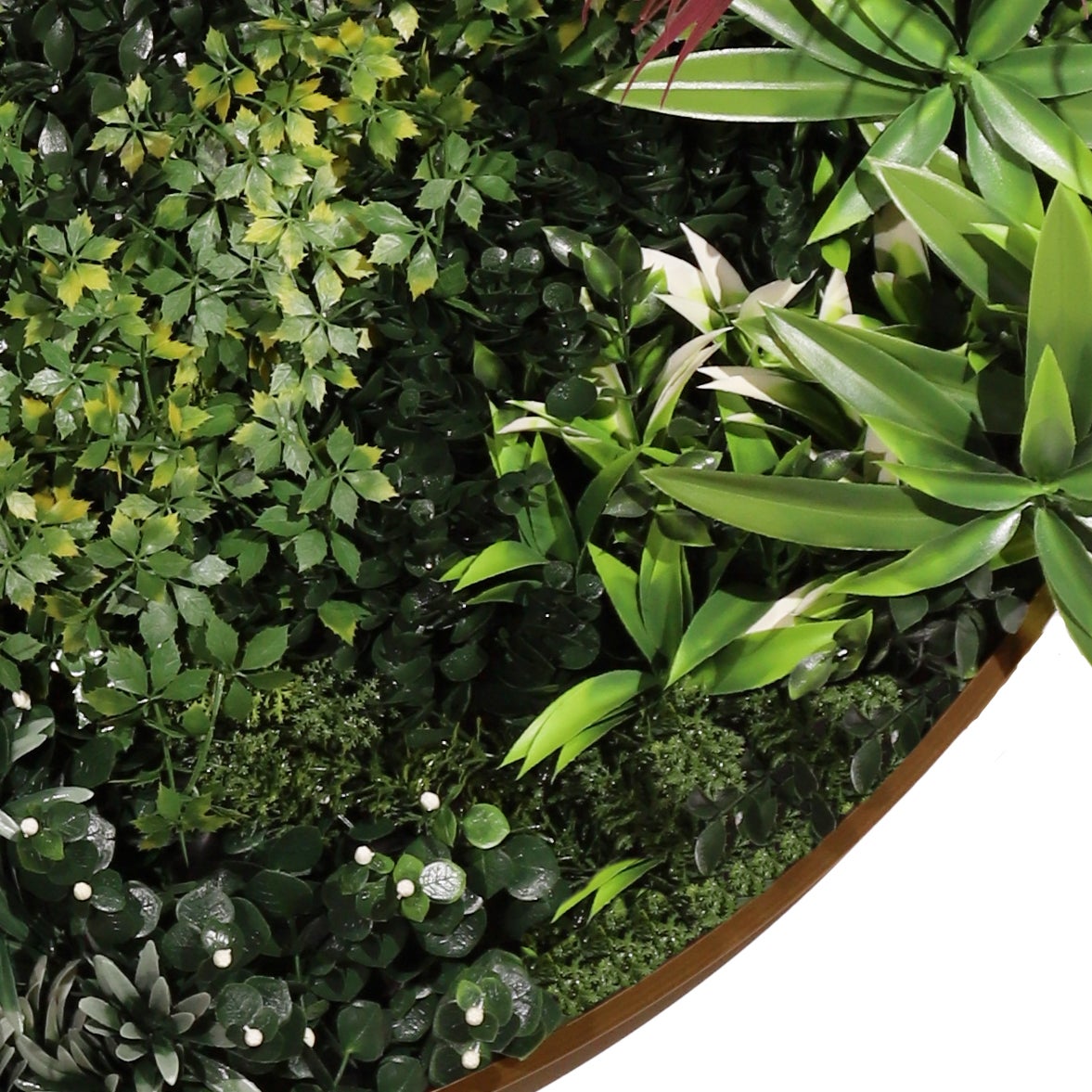 Cuadro Vegetal Artificial NATURING MONDE Francesca - 100 cm diámetro - 5