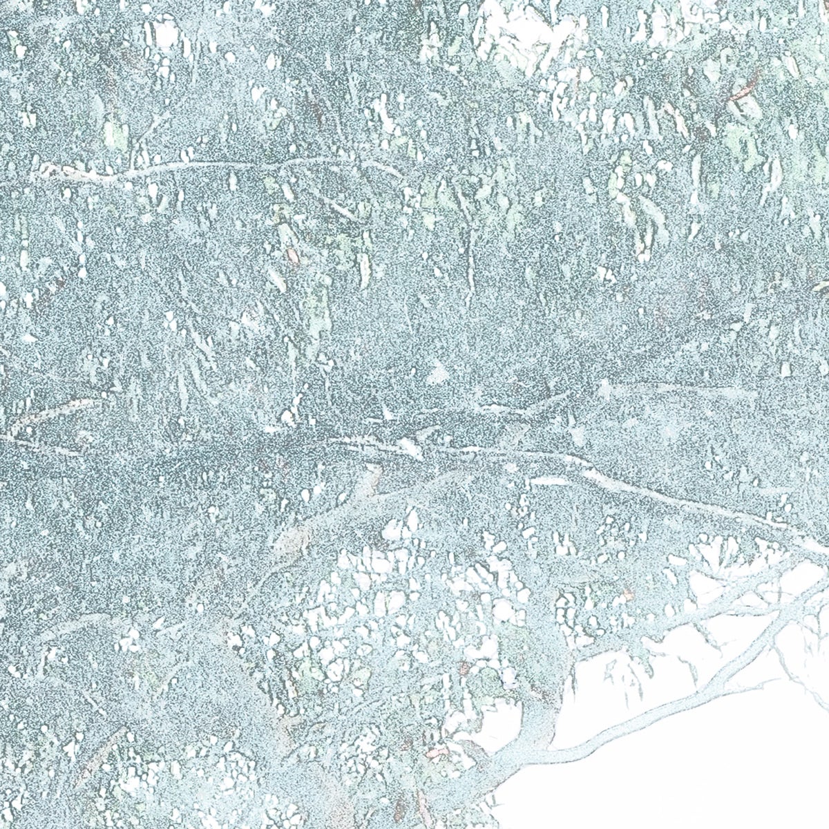 Fotomurale in tessuto non tessuto di Komar - Magic Trees - Dimensione: 300 x 280 cm - 7