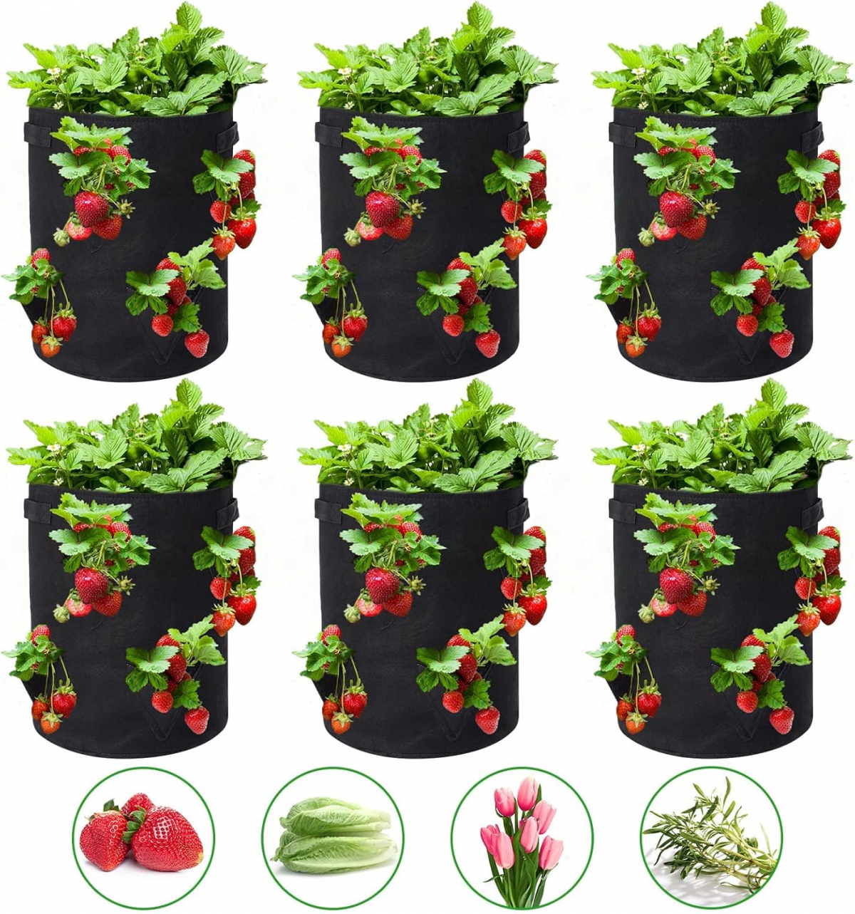 GardenMate Set di 5 Sacchi per Piante in Tessuto Non Tessuto da 11 L 25 cm Altezza 23 cm - BLACKLINE