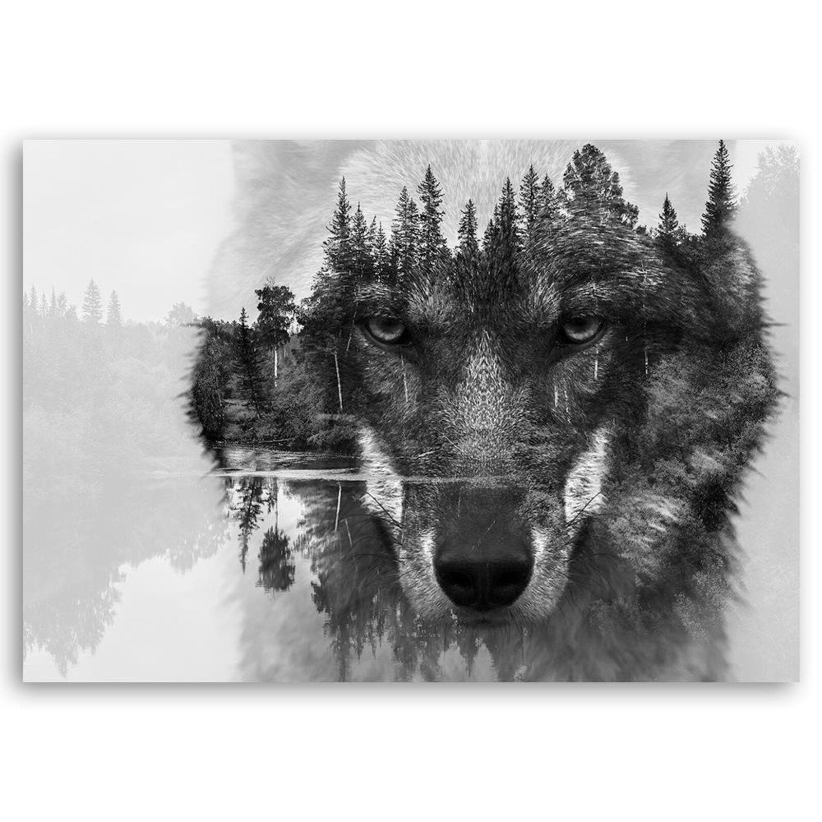 Tableau Loup gris - 60 x 40 cm - 2