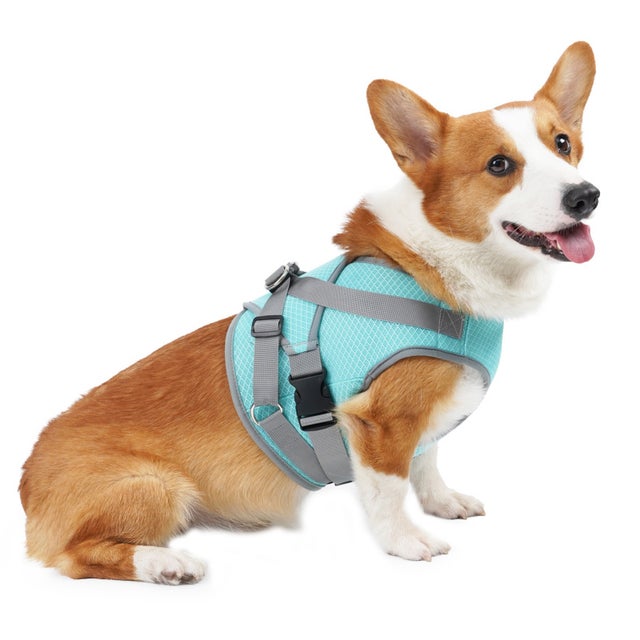 Bolsa de transporte para cães com tela de ventilação para manter seu pet fresco durante os passeios - azul claro, tamanho M