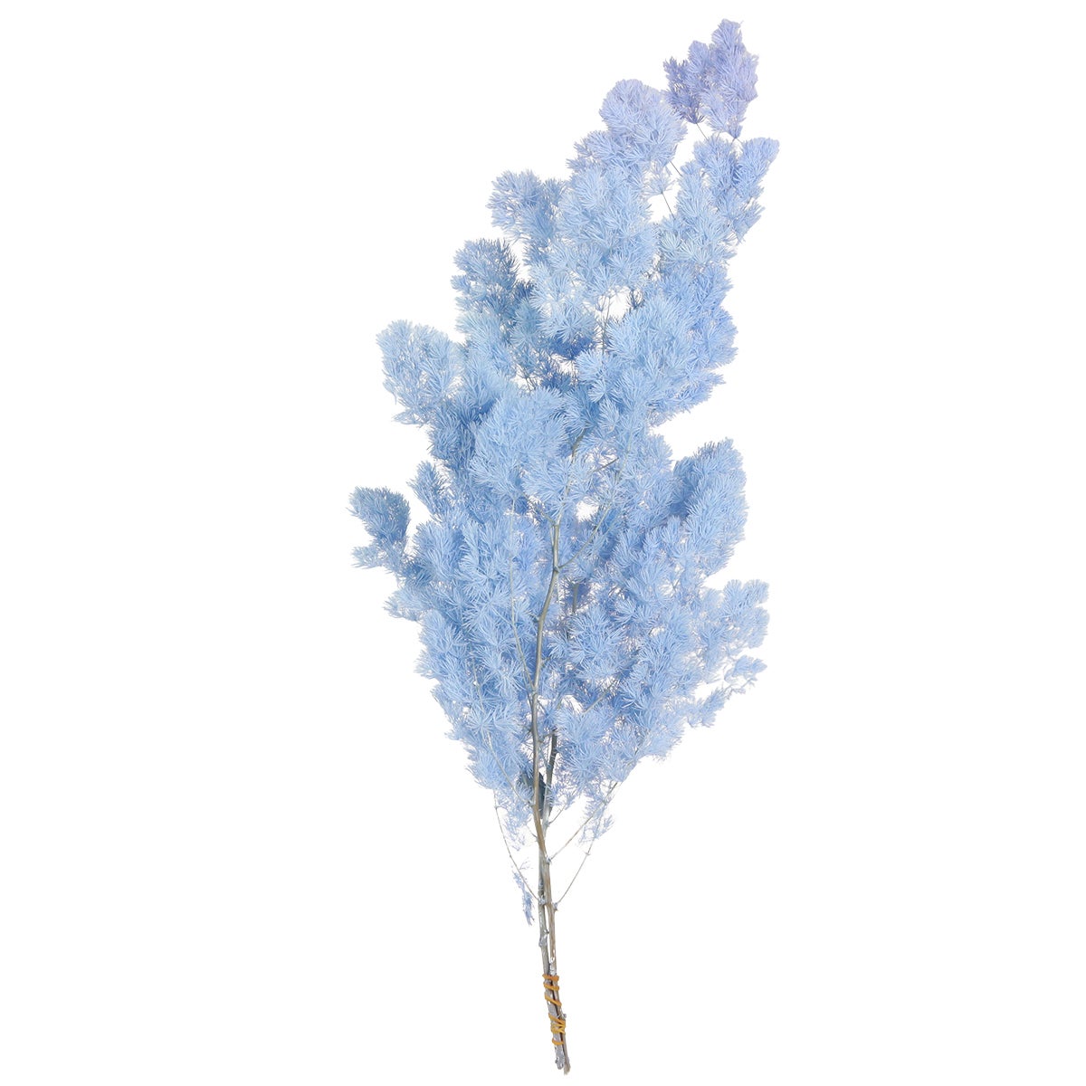 Décoration d asperges séchées | Leroy Merlin