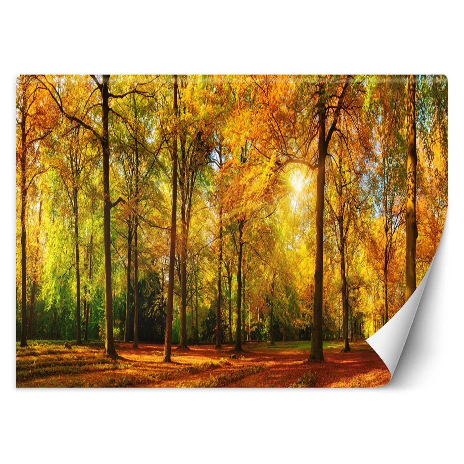 Papier Peint 3D Autocollant Amovible Luna, Motif Feuilles D'automne R4989, Coloré