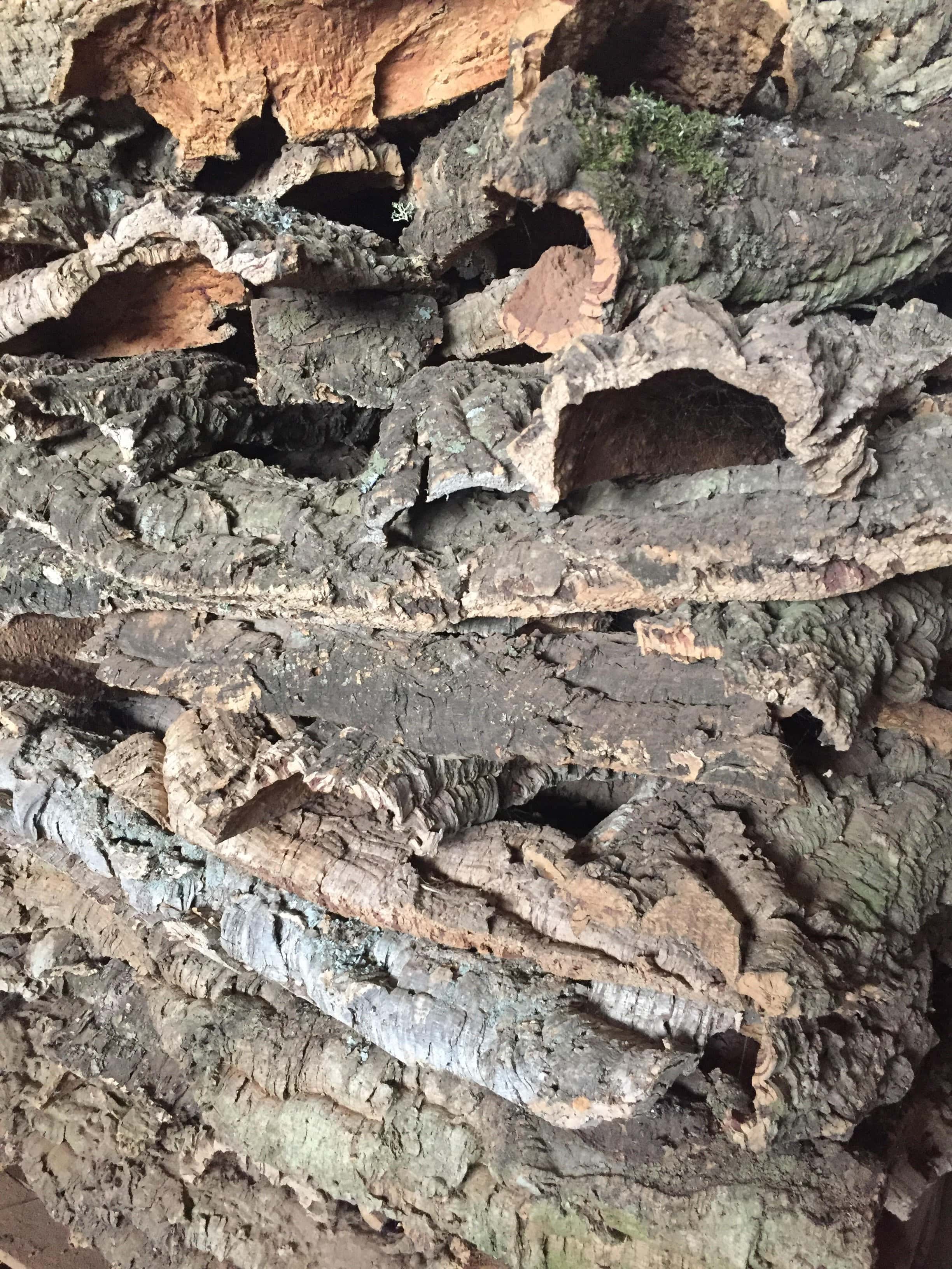 Corteccia di sughero naturale per presepe 1 kg - 2