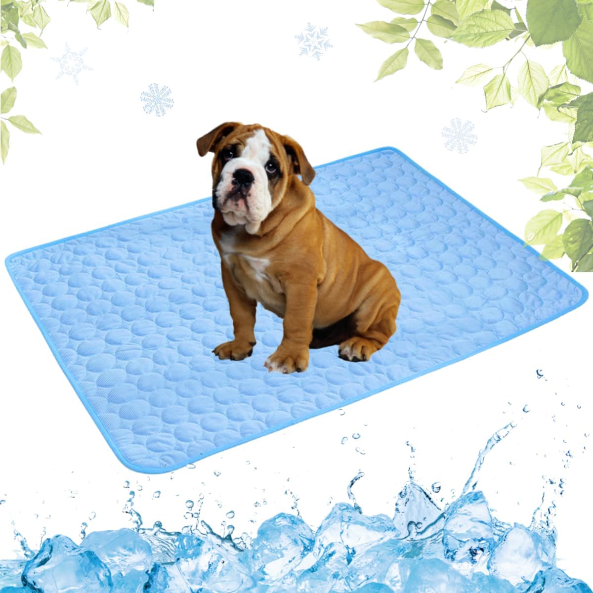Sottobicchiere Quadrato Gift Base - 9x9 Cm Con Frase "I Only Want 2 Cani", Finitura Lucida - 4