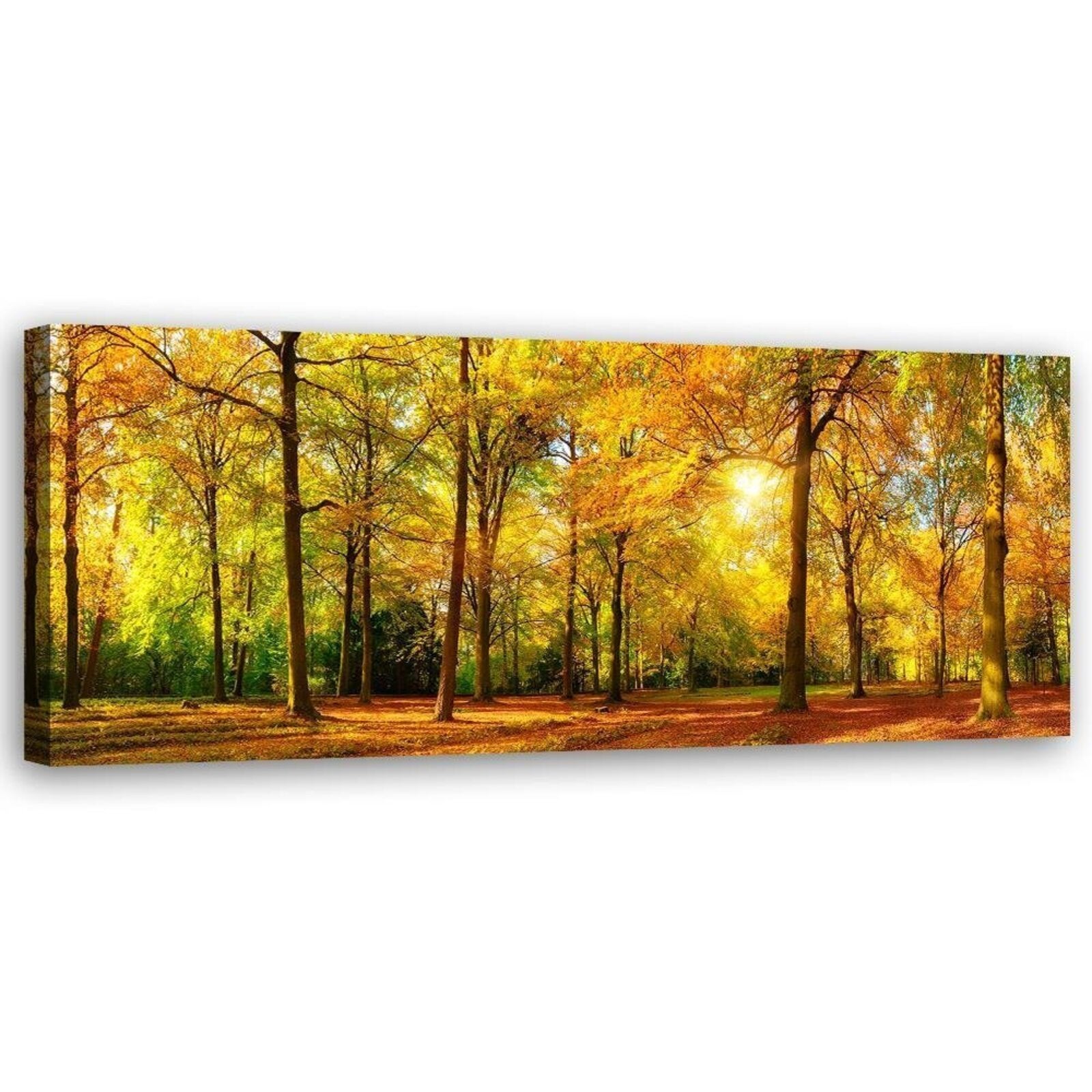Obraz na płótnie, Złoty las 1-częściowy 120x40