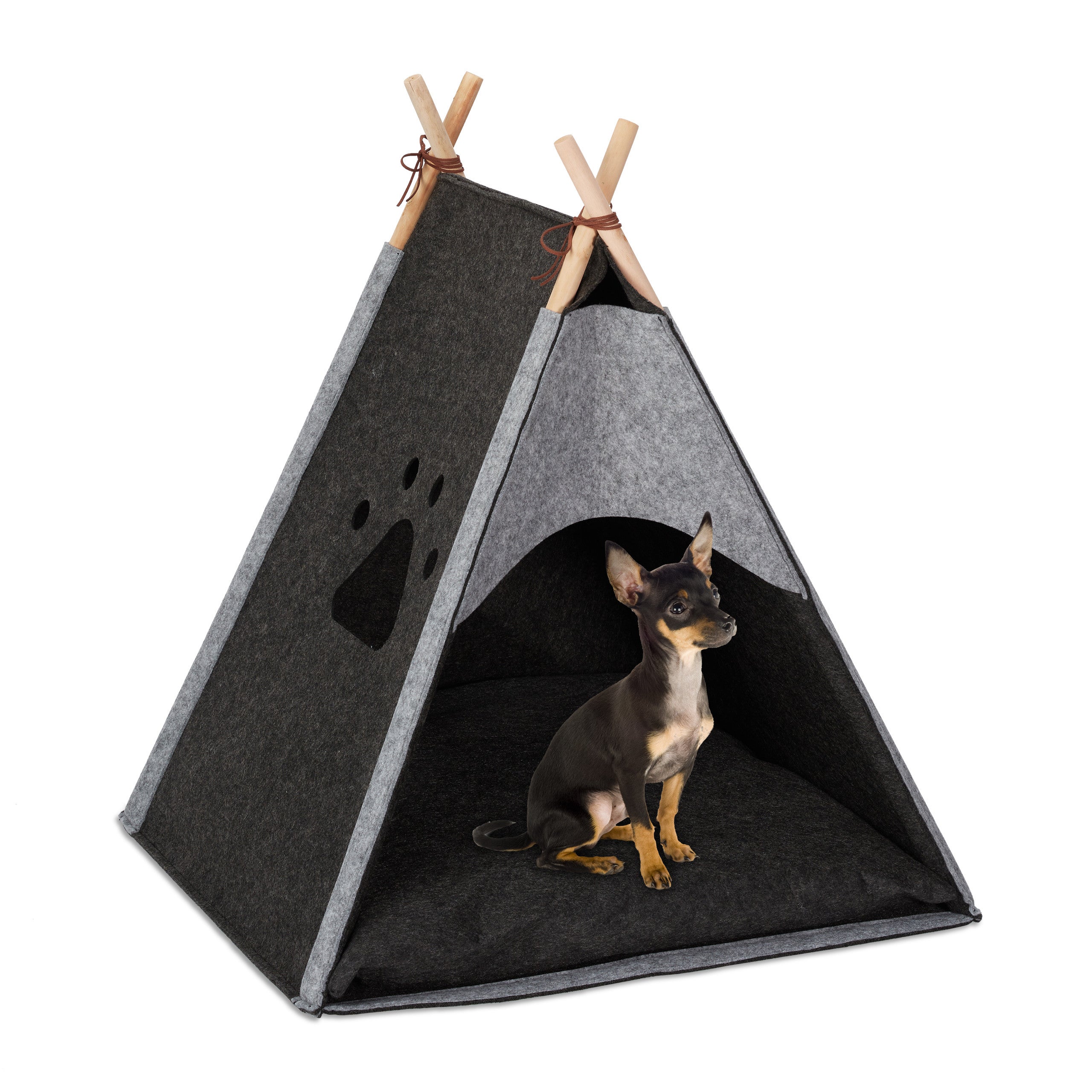 Tente De Camping Pour Chat Et Chien, Lit Tipi Pour Chiens, Niche D'intérieur Pour Chat, Chiot