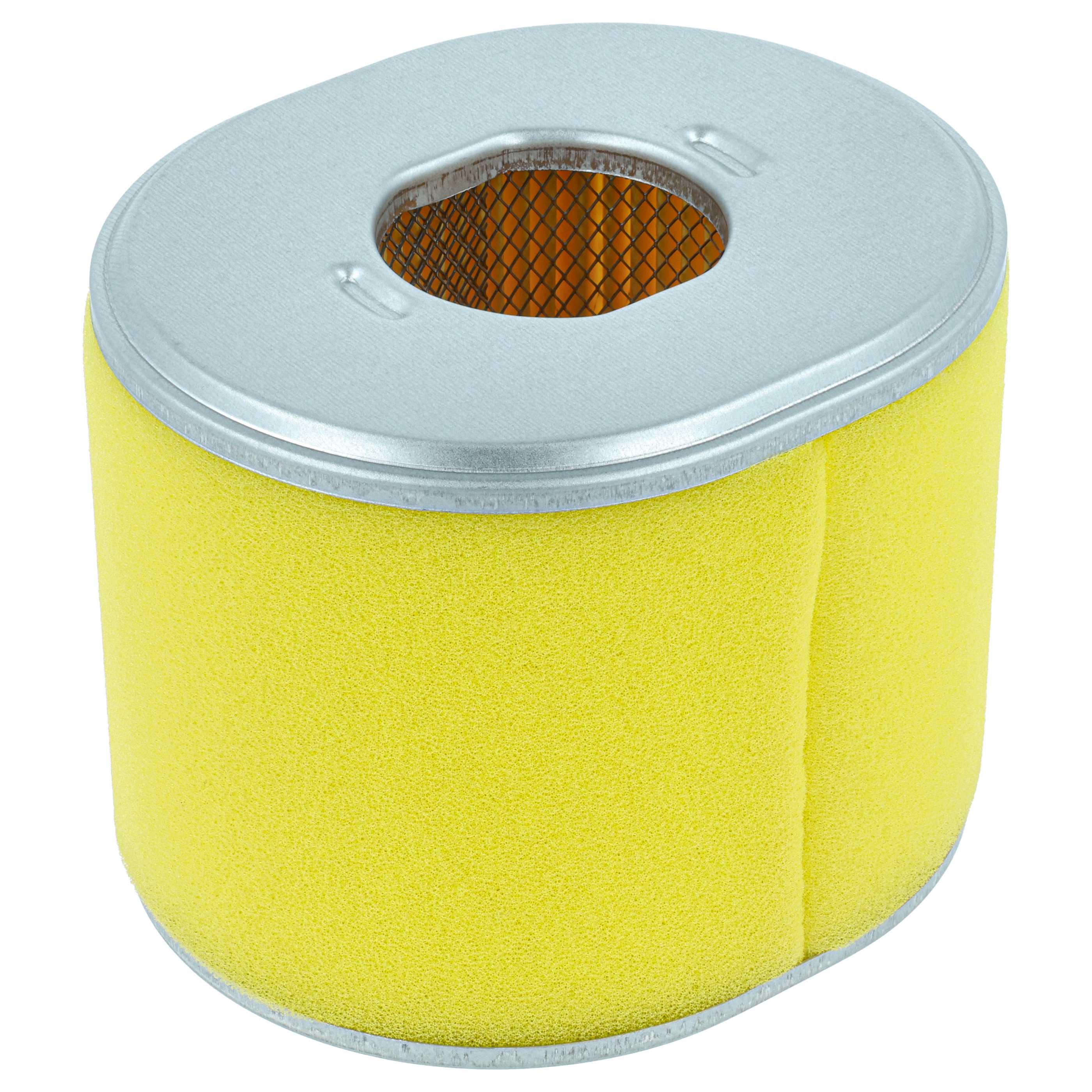 vhbw 1x filtre remplacement pour Stens 100-012 pour tondeuse à gazon - 11,2 x 9,6 x 9cm - 2