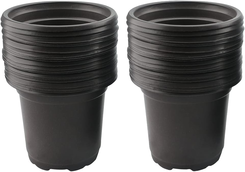 Confezione da 100 fioriere in plastica nera da 10 cm per piante grasse, verdure, talee - 2