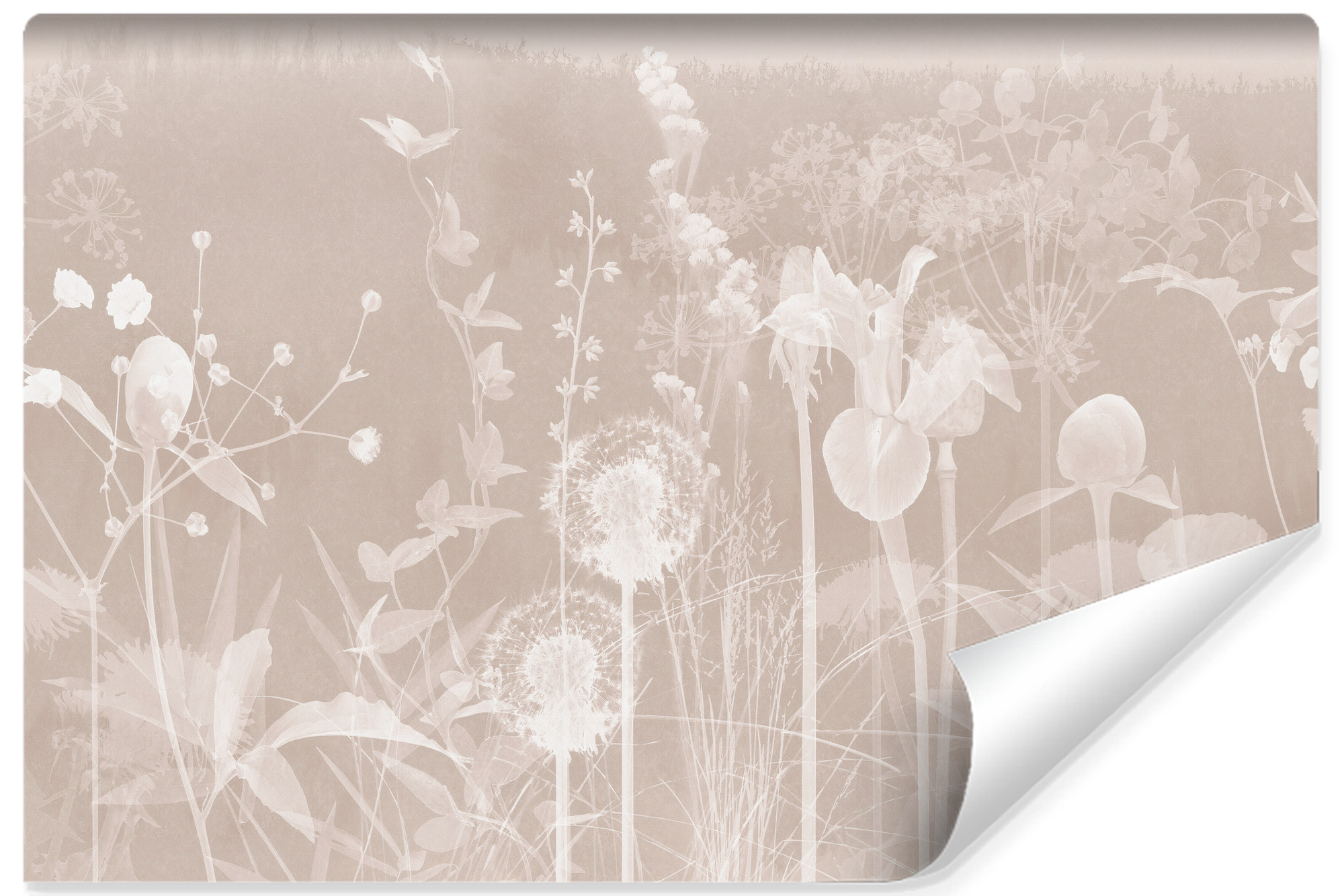 Papel pintado no tejido foto retro field plants para dormitorio 520cm x 318cm