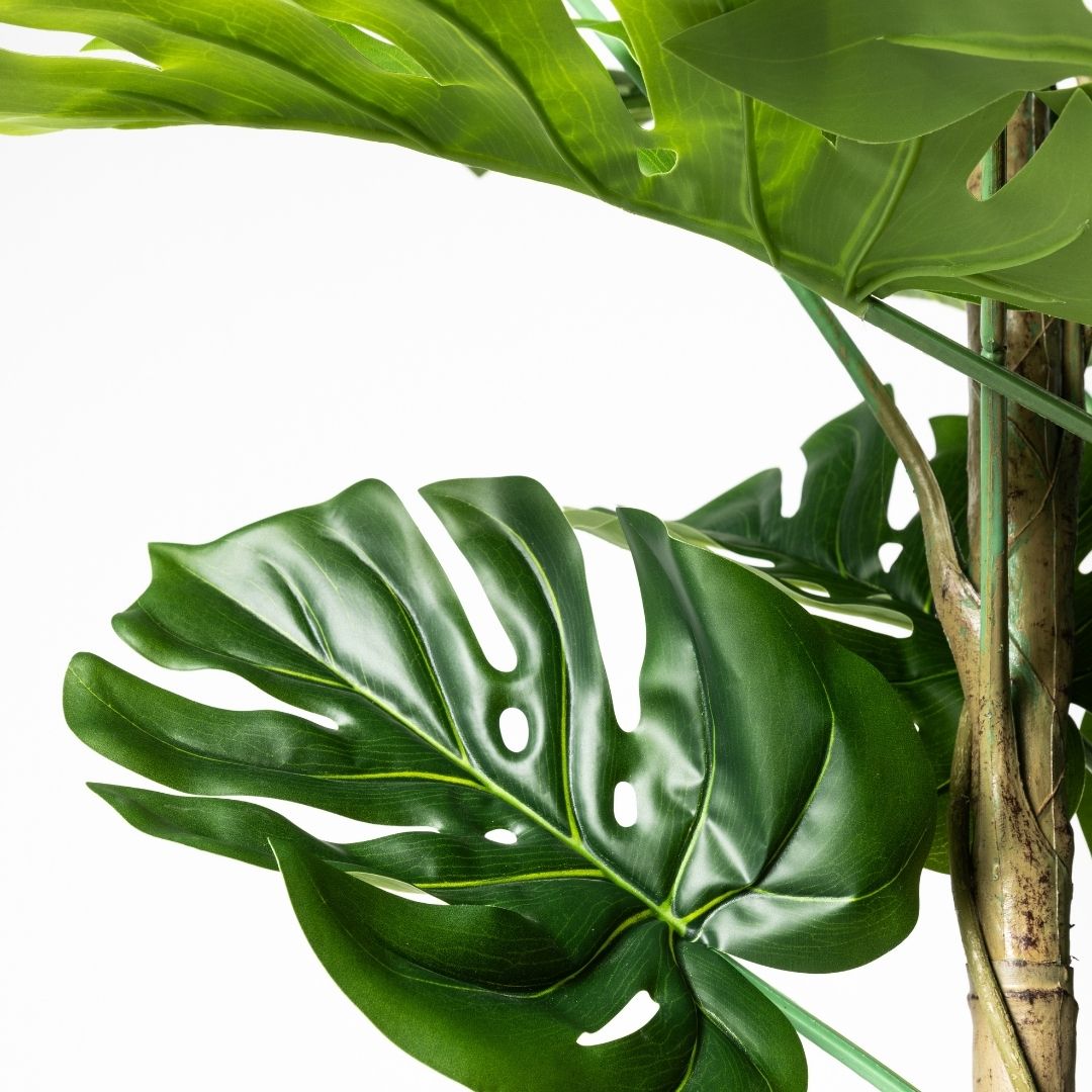 Planta artificial decorativa Monstera de 210 cm en maceta color verde - 4