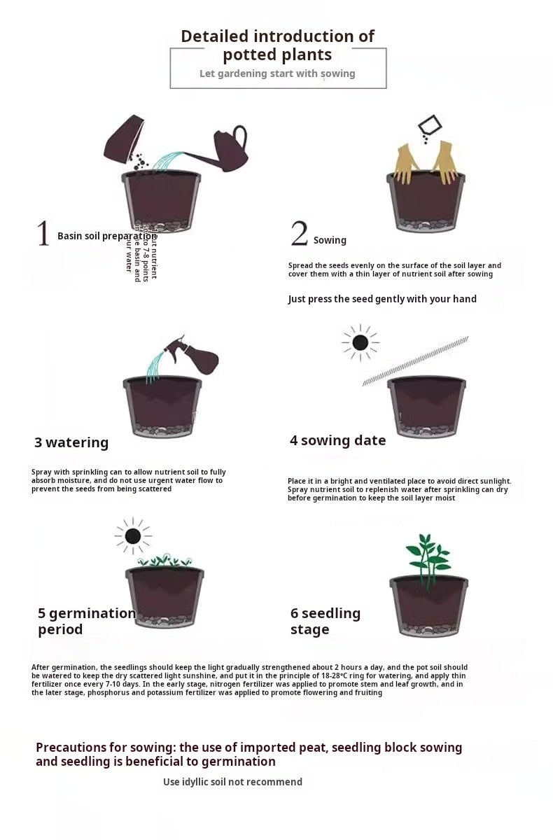 100 graines de tournesol, graines de tournesol, tournesol nain, semis et floraison quatre saisons,convient aux jardins,potagers et balcons extérieurs - 6