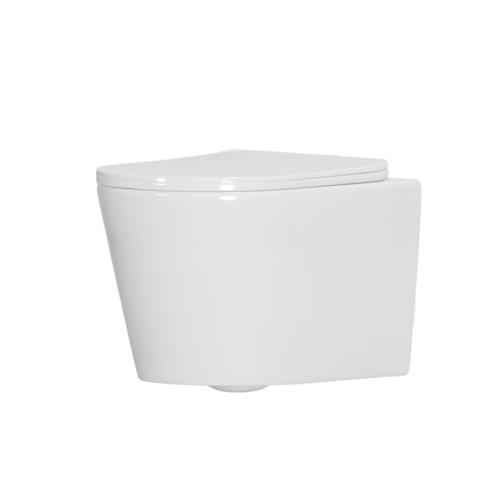 Grohe Rapid SL Pack WC bâti-support + WC suspendu sans bride avec abattant SoftClose Ceramia + plaque (GRRCE14WT01-FR) - 6