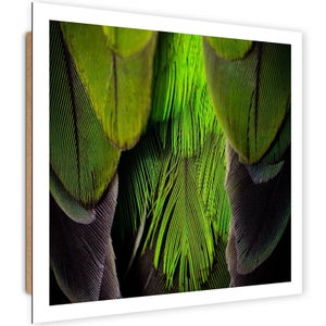 Lot De 50 Plumes De Faisan Vert Naturel - 3,8 à 7,6 Cm - Décoration Mariage, Artisanat, Costumes