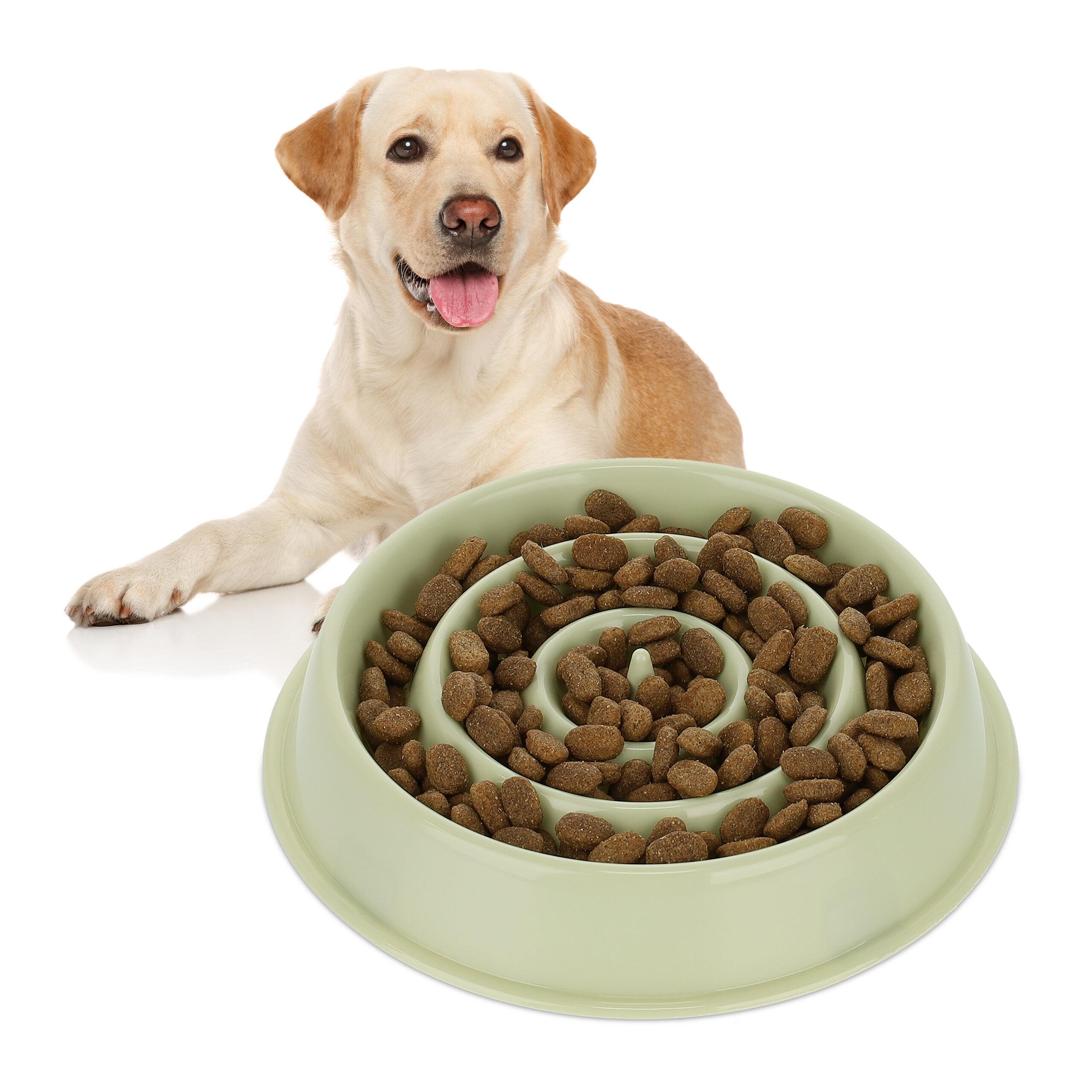 Superdesign Lento Feeder Ciotola Per Cani - Anti-soffocamento Rallentare Mangiare Ciotola Antiscivolo Animali Vassoio - Foto 12