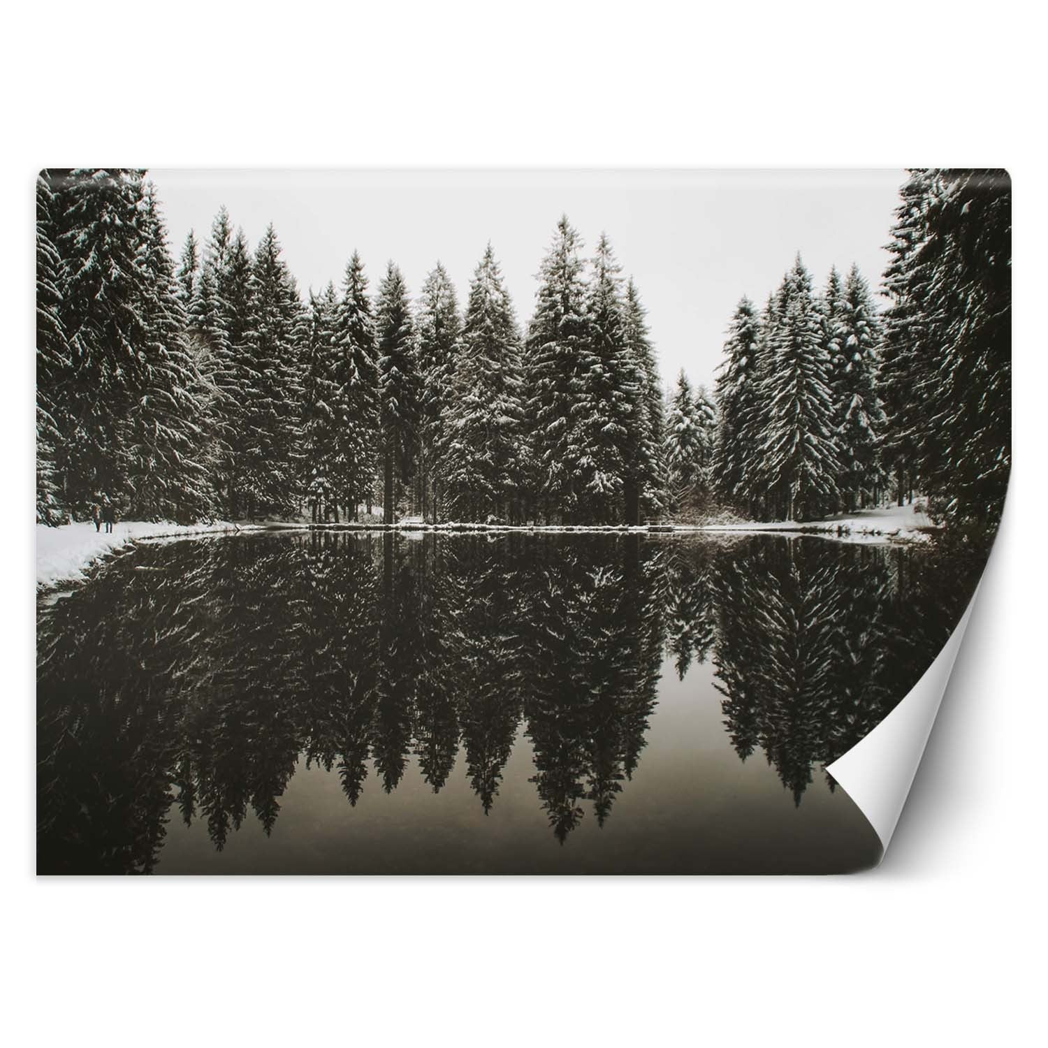 Fototapeta, Jezioro las zima natura 250x175