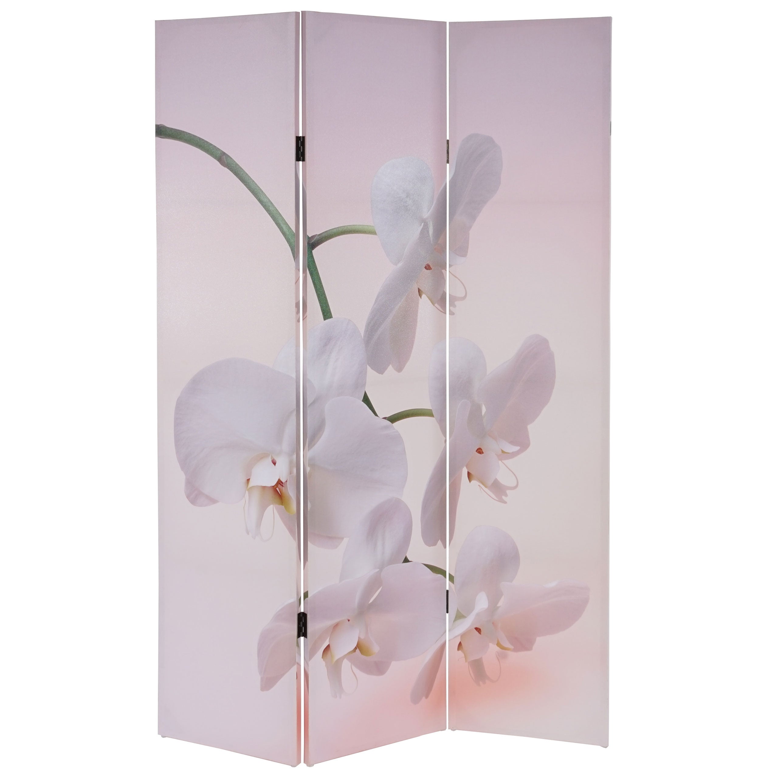 Parawan fotograficzny T233, ścianka działowa z certyfikatem MVG 180x120cm ~ Orchidea