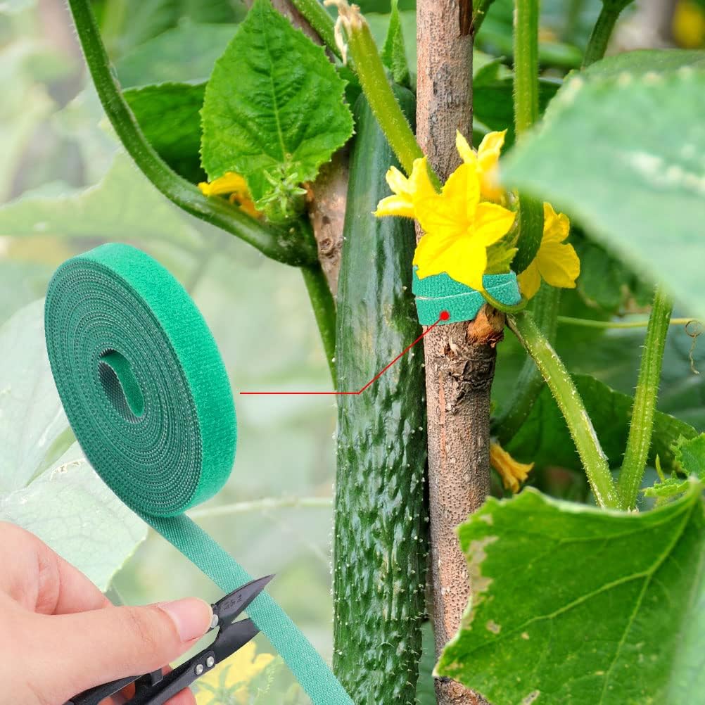 Liens réutilisables pour plantes grimpantes (15 m) - Attaches auto-agrippantes (vert) - 2