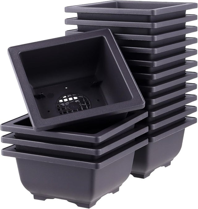 Lot de 15 Pots à Bonsaïs, Pots de Fleurs rectangulaires en Plastique, pour bonsaï, pour l'intérieur et l'extérieur, Carré, 12 x 12 x 6 cm