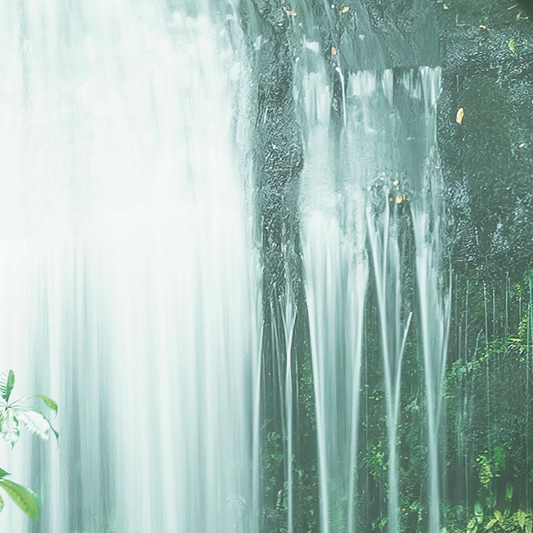 Fotomurale in tessuto non tessuto di Komar - Stefan Hefele Secret Veil - Dimensione: 450 x 280 cm - 5